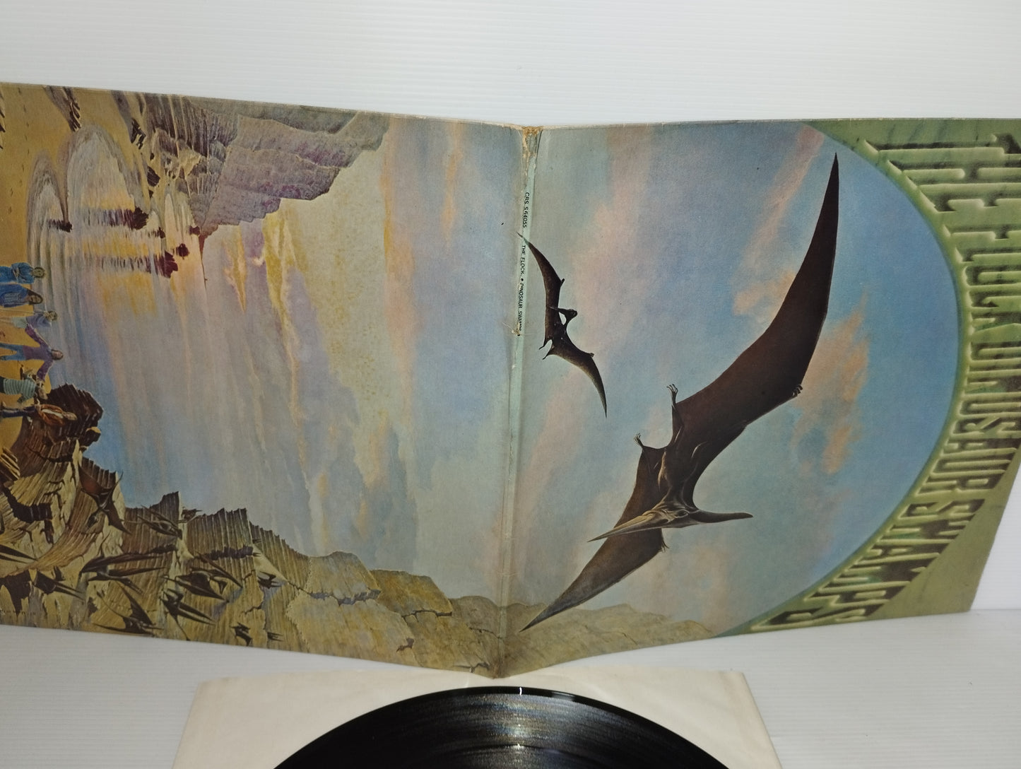 Dinosaur Swamps The Flock LP 33 Giri
Edito nel 1970 da  CBS Cod 64055