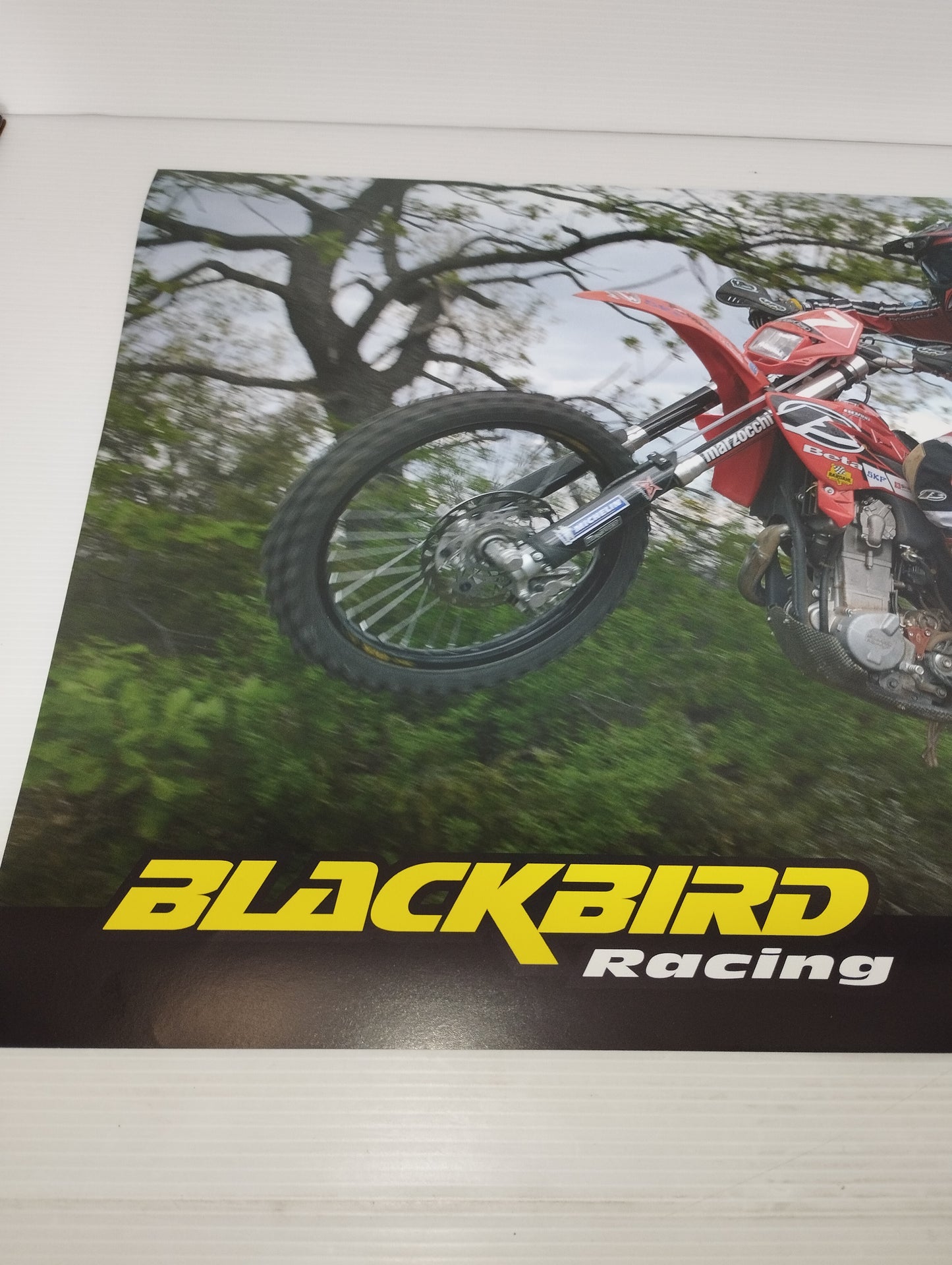 Poster Blackbird Racing Beta 2006 Enduro
Dimensioni poster 48 x 33 cm