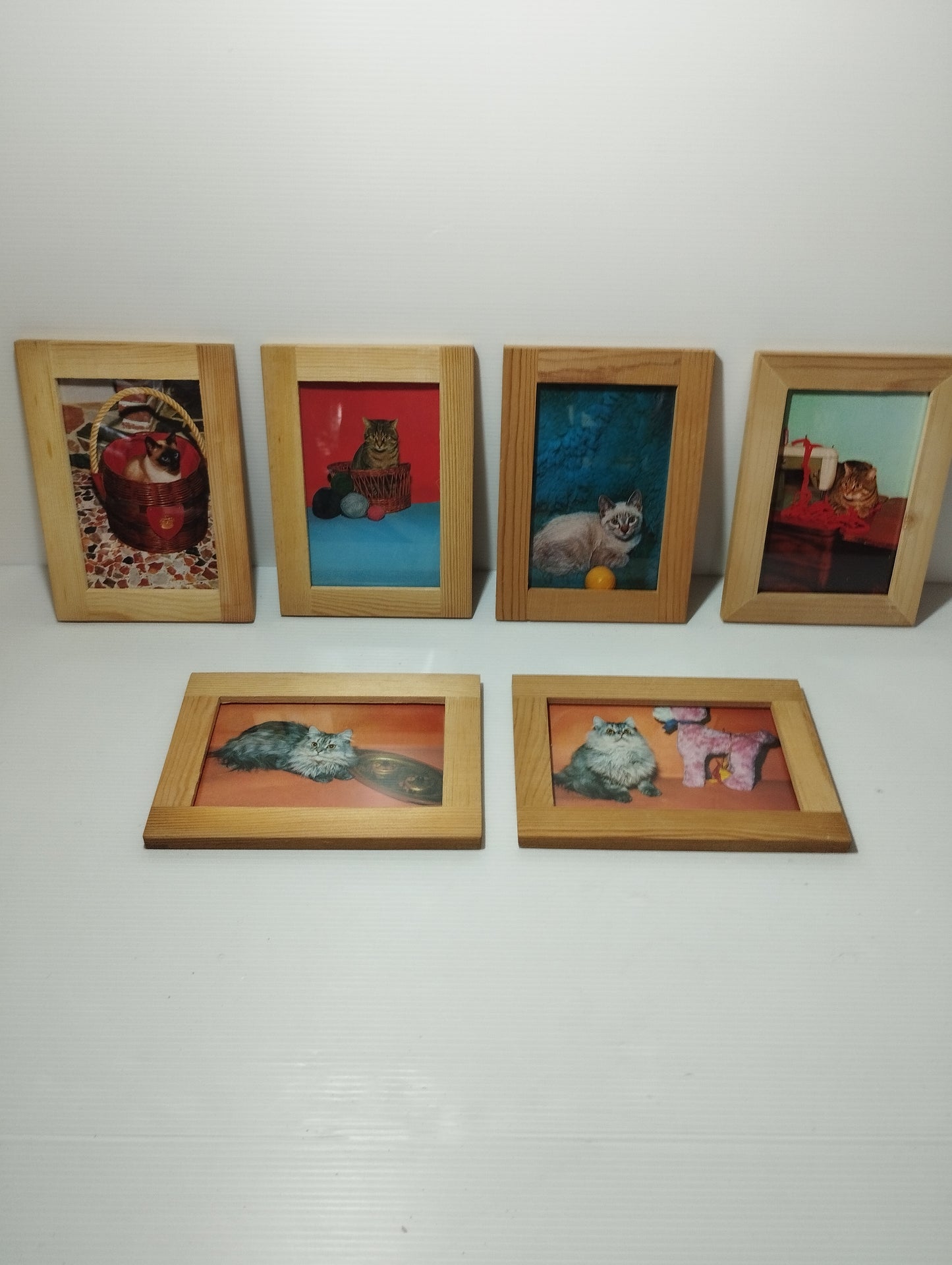 Gatti Collezione 6 Quadretti Con Cartoline Vintage