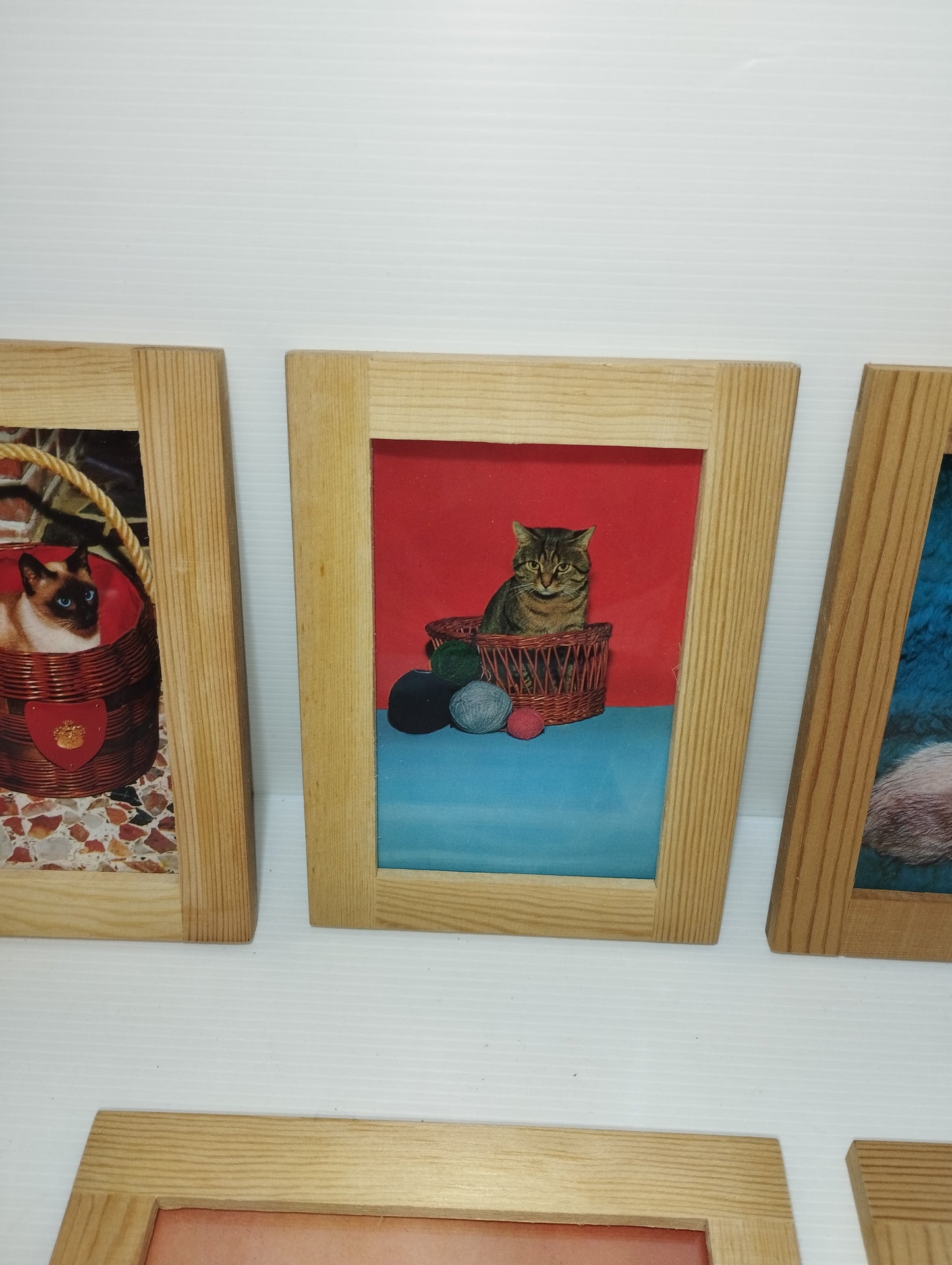 Gatti Collezione 6 Quadretti Con Cartoline Vintage