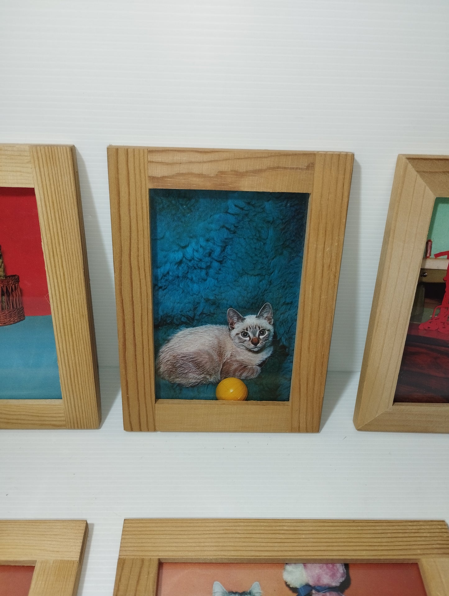 Gatti Collezione 6 Quadretti Con Cartoline Vintage