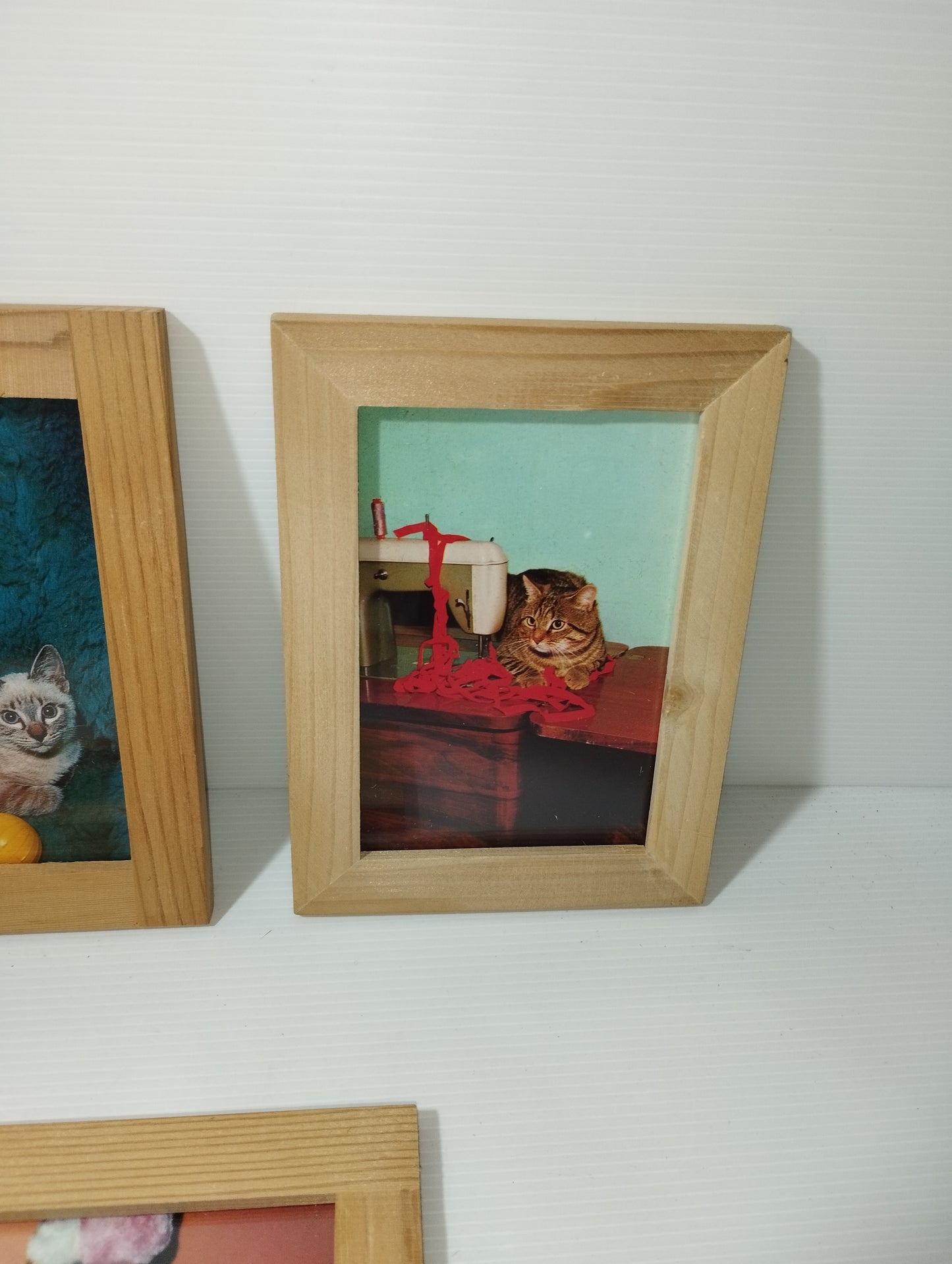 Gatti Collezione 6 Quadretti Con Cartoline Vintage