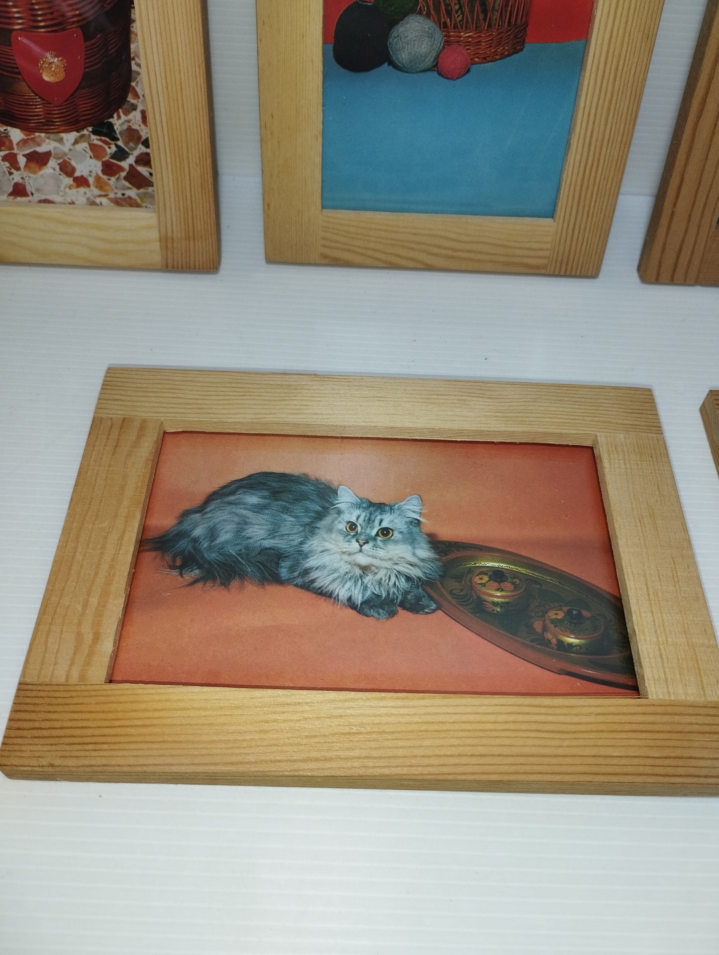 Gatti Collezione 6 Quadretti Con Cartoline Vintage