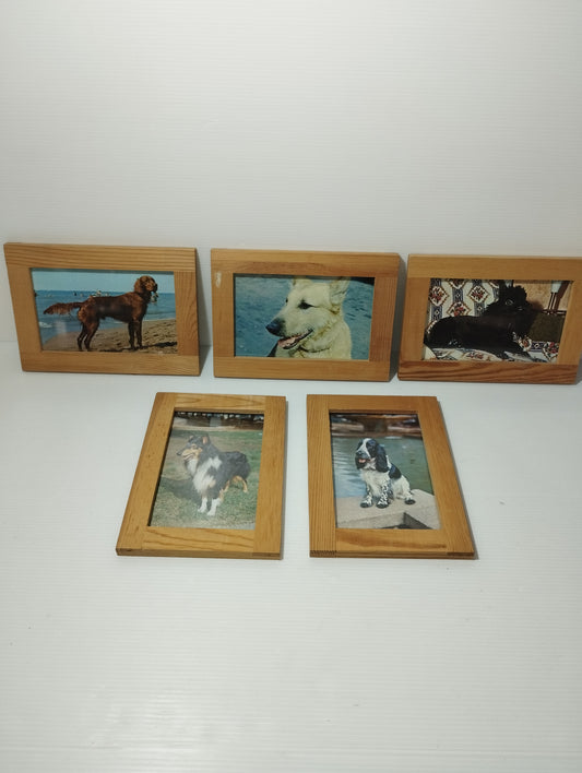 Cani Collezione 5 Quadretti Con Cartoline Vintage