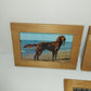 Cani Collezione 5 Quadretti Con Cartoline Vintage