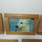 Cani Collezione 5 Quadretti Con Cartoline Vintage