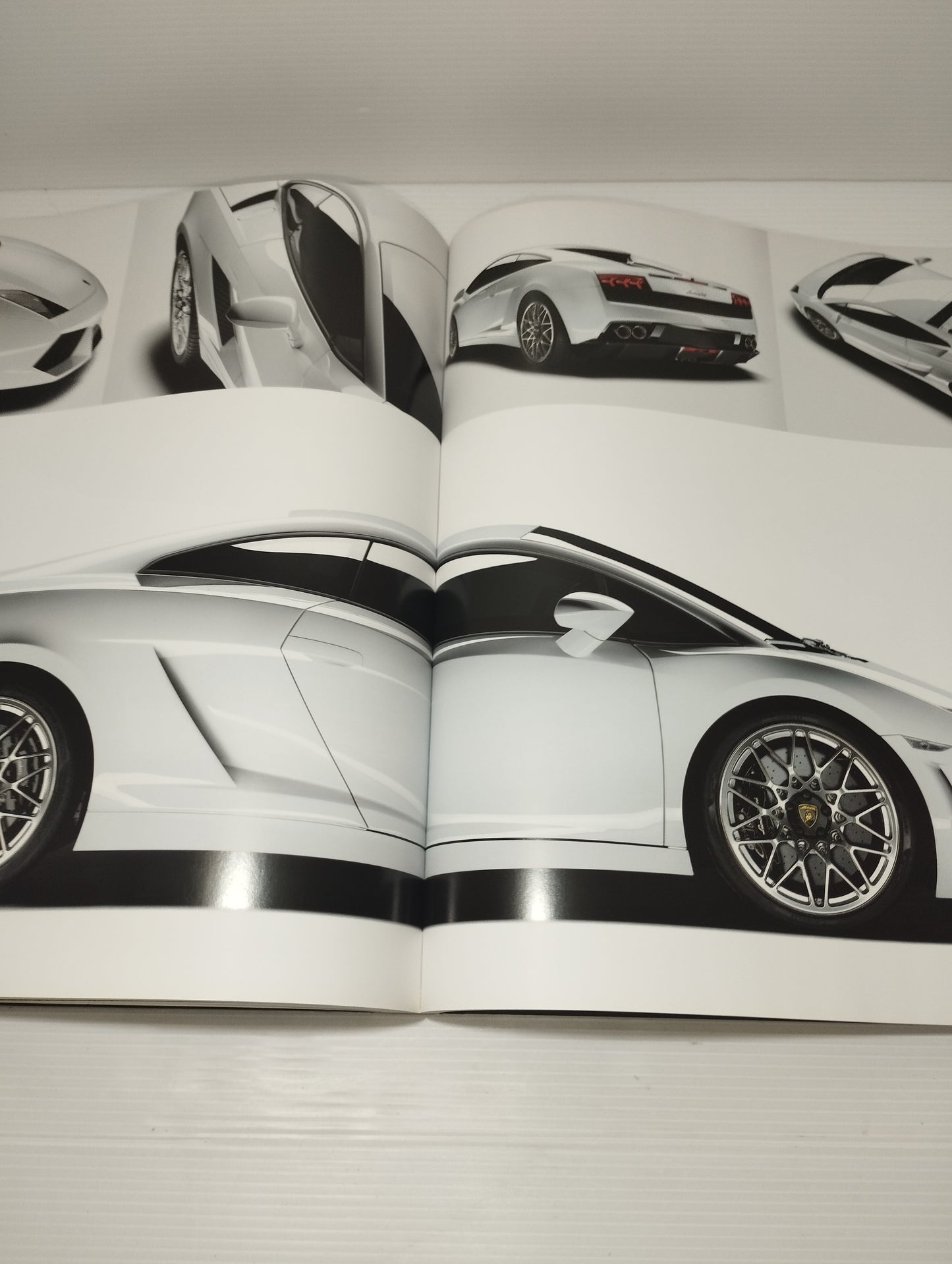 Libro Lamborghini
100 anni di innovazione in metà tempo
Edito nel 2014 da  Skira