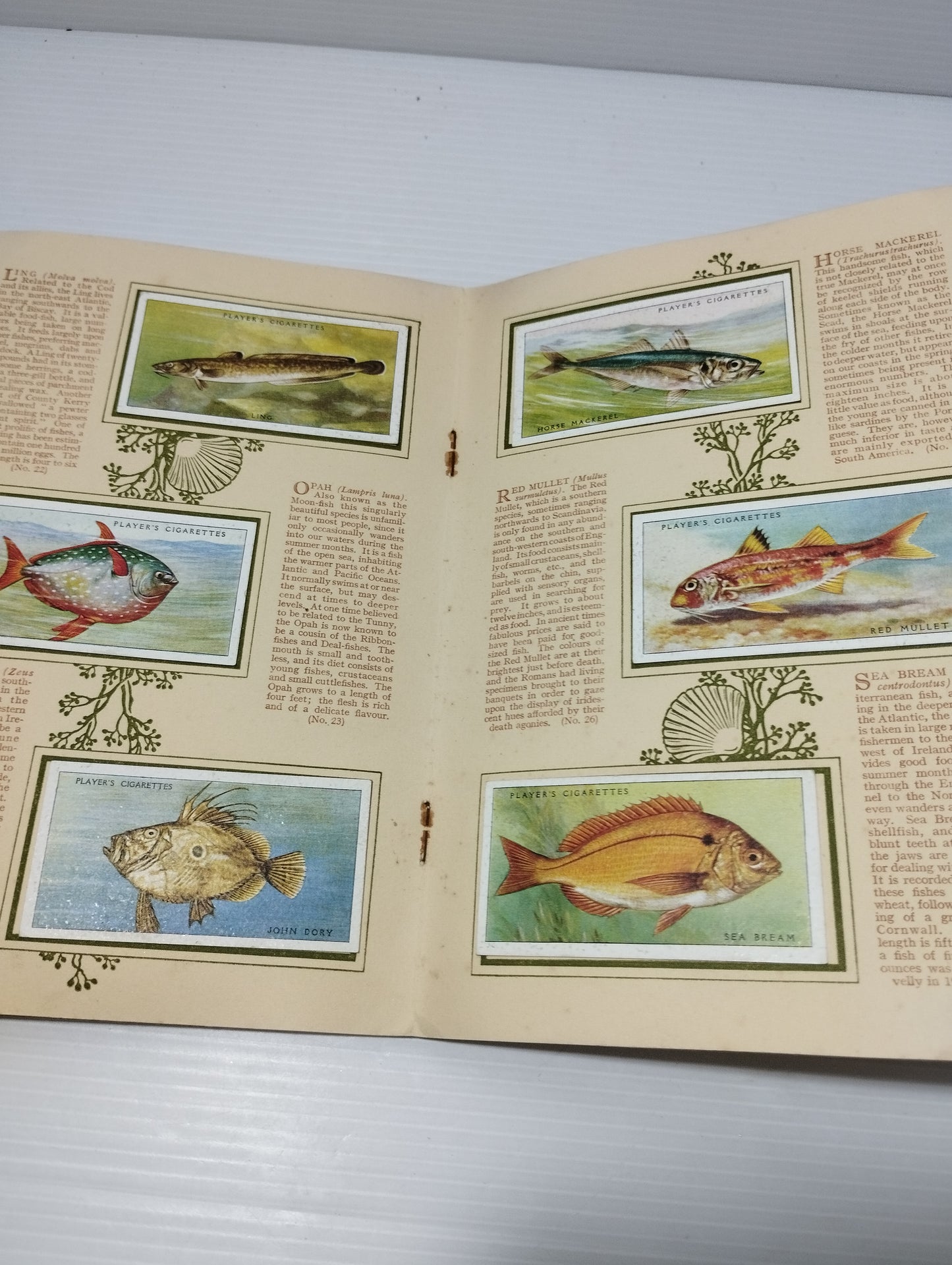 Sea Fishes  Antico Album Figurine Prodotto da John Player &Sons Cigarettes
Great Britains