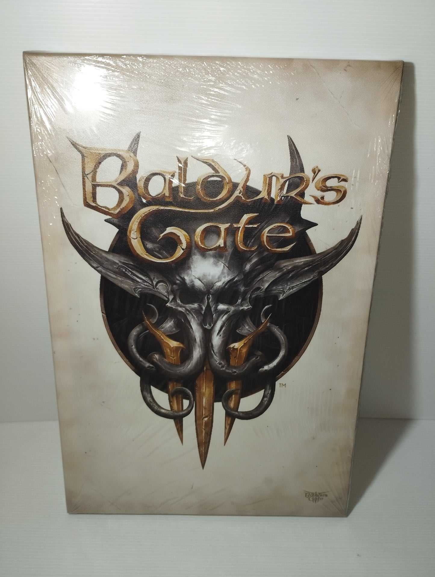 Baldur's Gate Stampa Su Tela