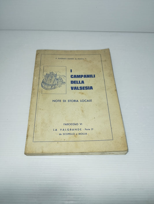 Campanili Della Valsesia Da Scopello A Mollia P.Eugenio Manni
Copertina morbida
Pagine n.282