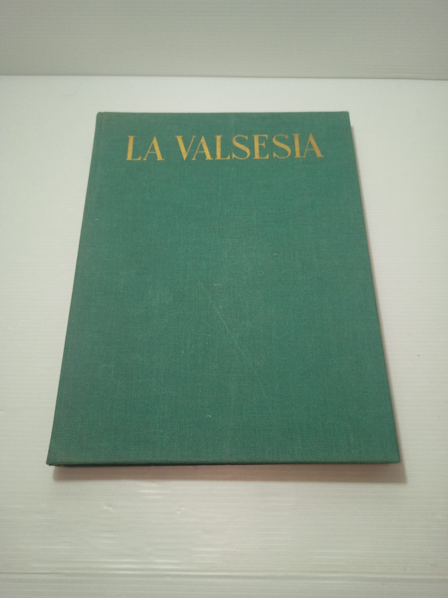 La Valsesia Arte,Natura E Civilta' M.Bonfantini Edizione Limitata  a 2500 esemplari
In vendita il n.64