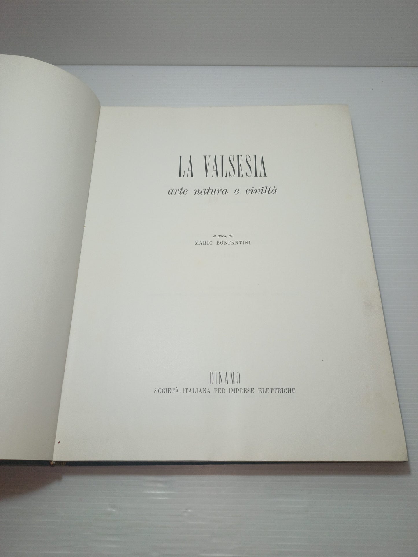 La Valsesia Arte,Natura E Civilta' M.Bonfantini Edizione Limitata  a 2500 esemplari
In vendita il n.64