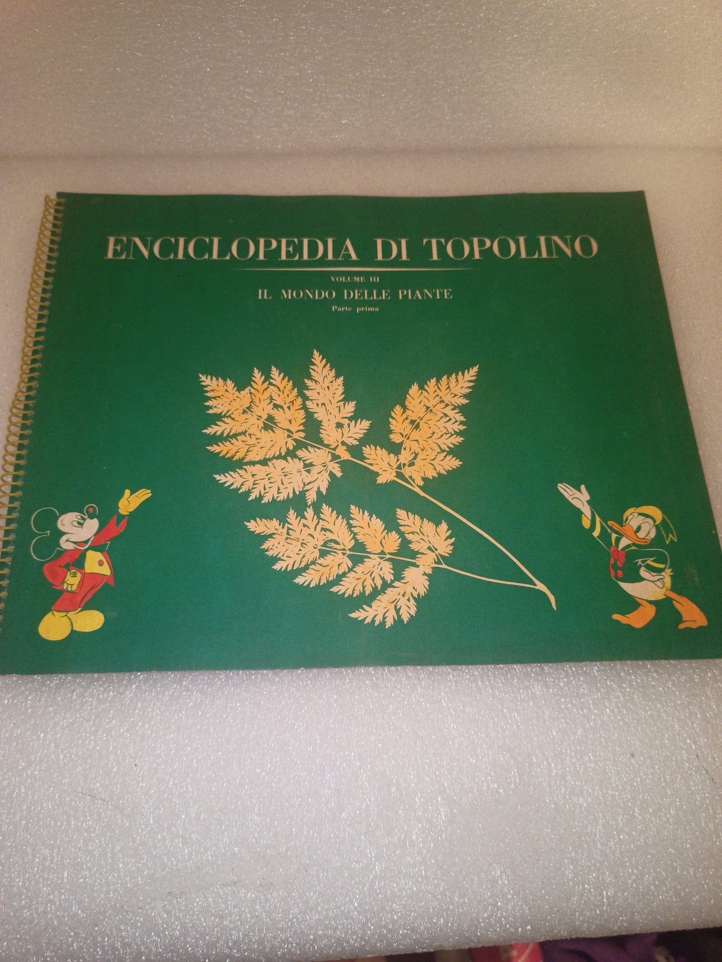 Enciclopedia Di Topolino Il Mondo delle Piante Parte Prima
Edito nel 1961 da Arnoldo Mondadori Editore
Mancano 12 figurine