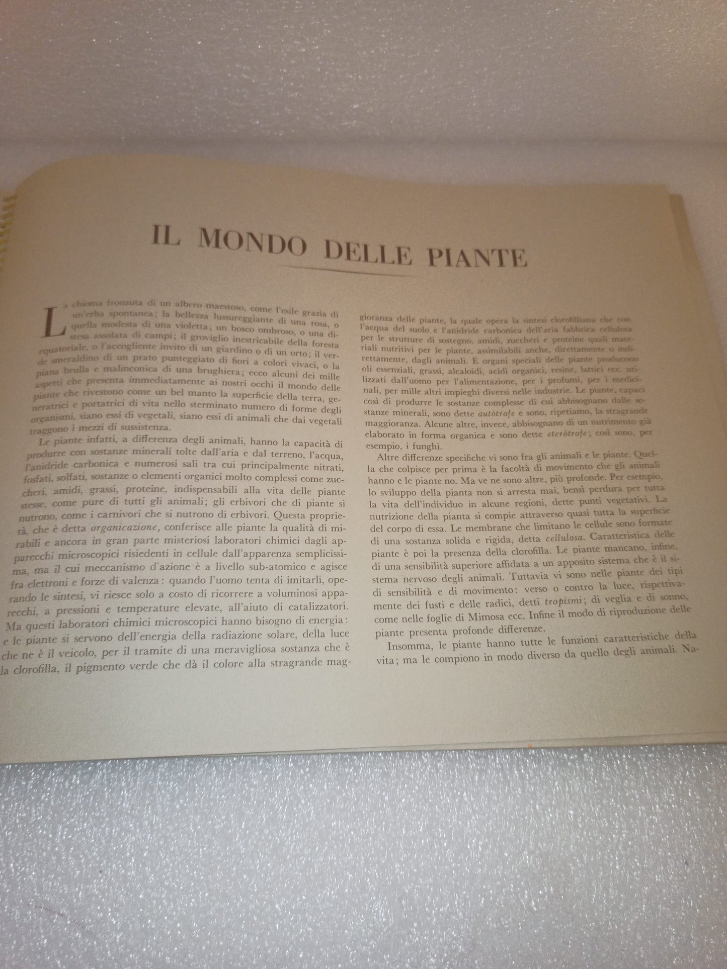 Enciclopedia Di Topolino Il Mondo delle Piante Parte Prima
Edito nel 1961 da Arnoldo Mondadori Editore
Mancano 12 figurine