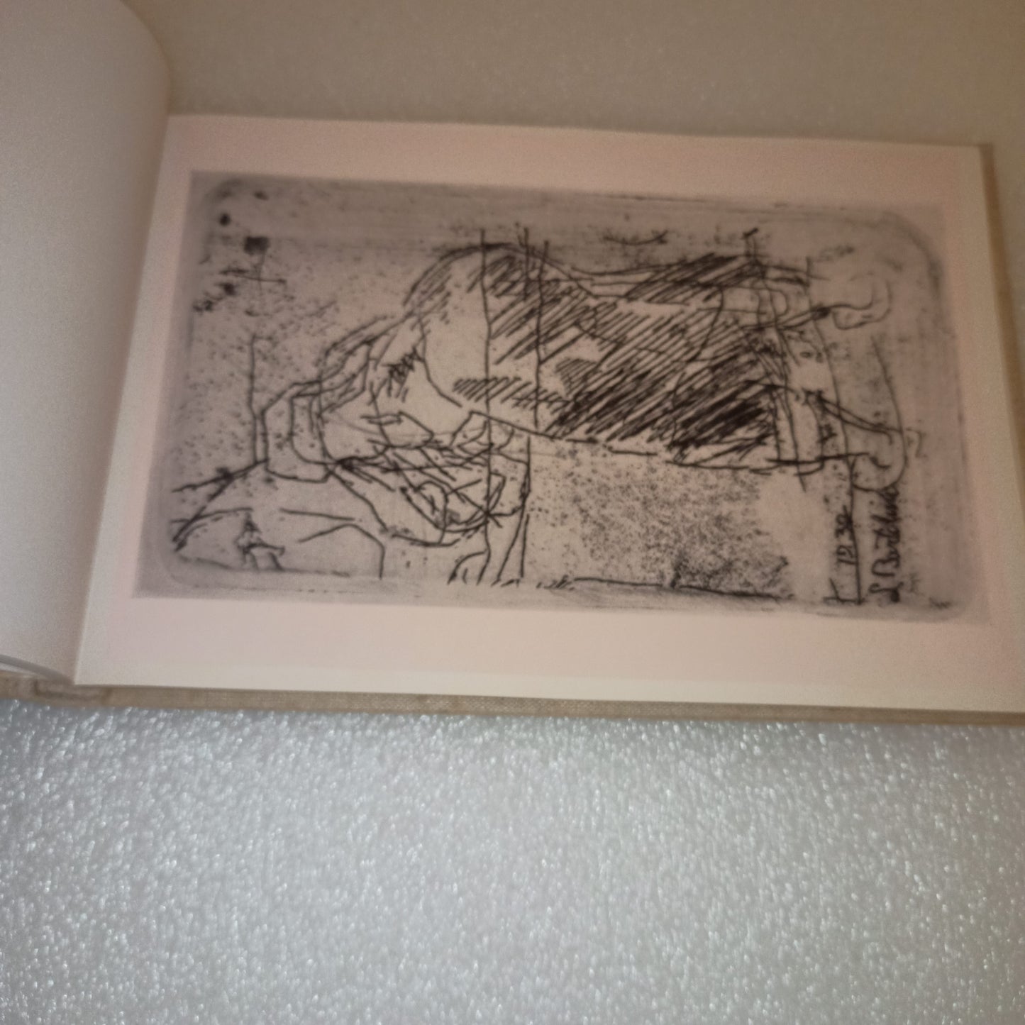 Gli Esemplari Unici o Rari Luigi Bartolini
Edito nel 1952 da Gherardo Casini Editore Roma
Novantasei riproduzioni di acquaforti