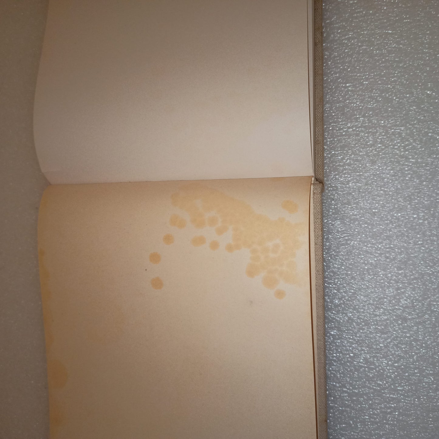 Gli Esemplari Unici o Rari Luigi Bartolini
Edito nel 1952 da Gherardo Casini Editore Roma
Novantasei riproduzioni di acquaforti