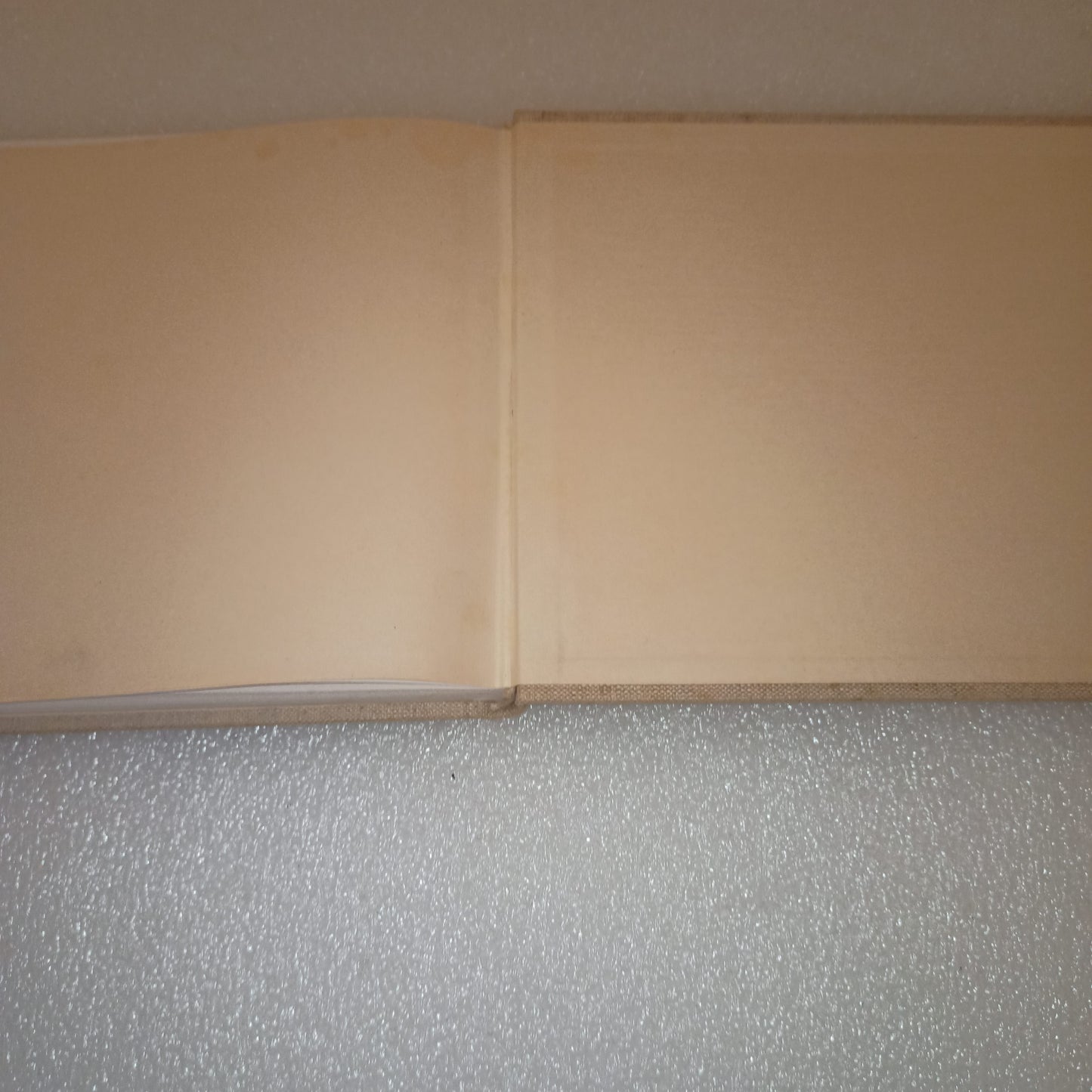 Gli Esemplari Unici o Rari Luigi Bartolini
Edito nel 1952 da Gherardo Casini Editore Roma
Novantasei riproduzioni di acquaforti