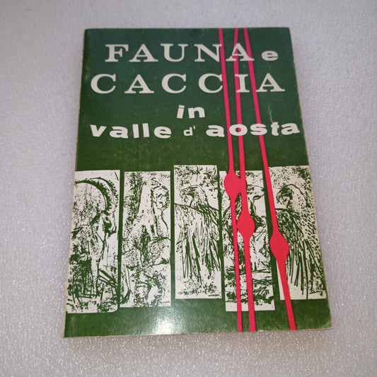 Fauna e Caccia In Valle d'Aosta Pietro Marguerettaz
Edito negli anni 60