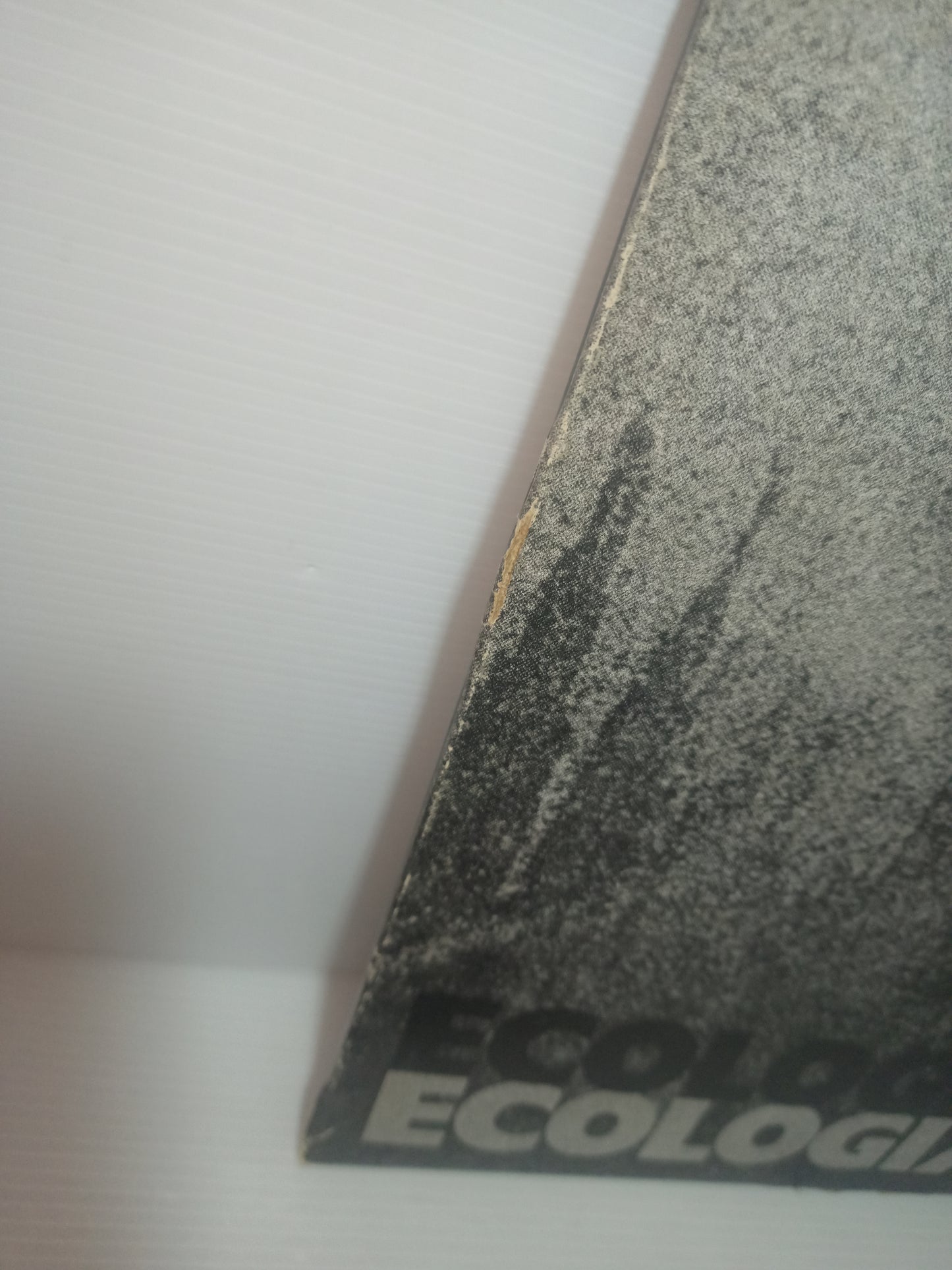 Ecologia Quartetto Di Guido Mazzon LP 33 Giri
Edito nel 1976 da ECP Cod.LP004