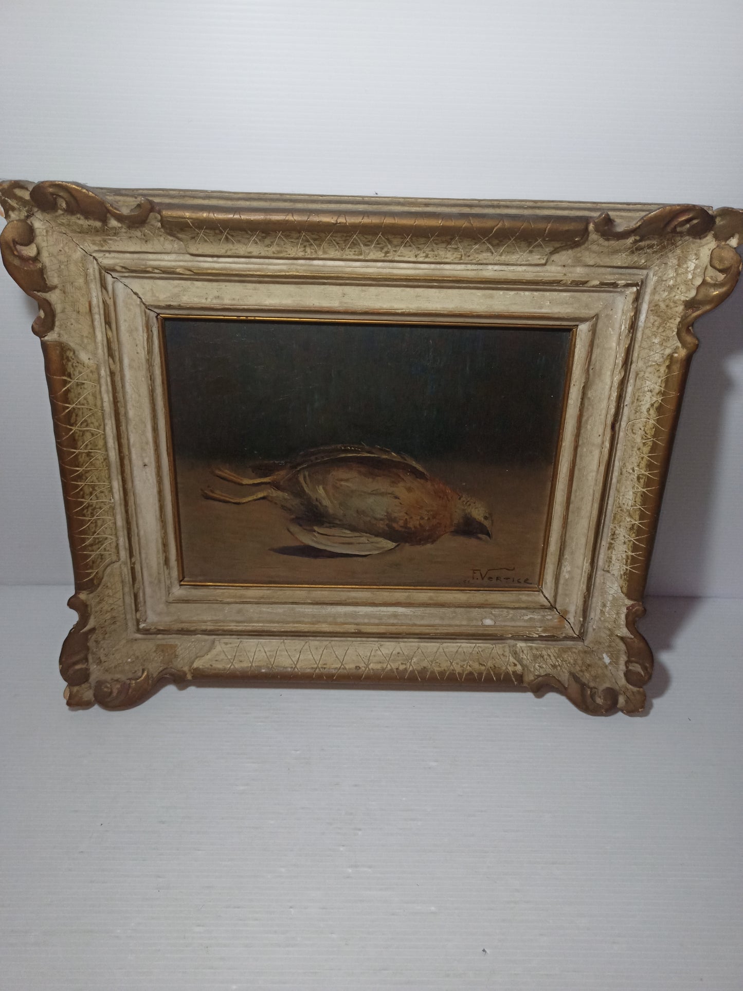 Natura Morta Francesco Vertice
Titolo opera: Quaglia
Misure quadro 36 x 31 cm circa