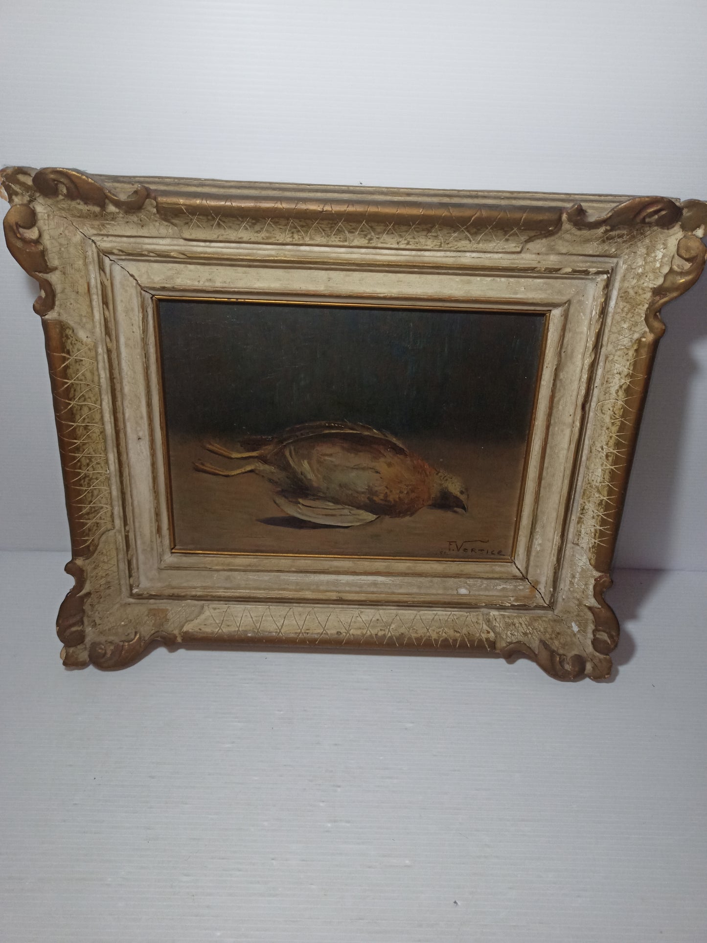 Natura Morta Francesco Vertice
Titolo opera: Quaglia
Misure quadro 36 x 31 cm circa