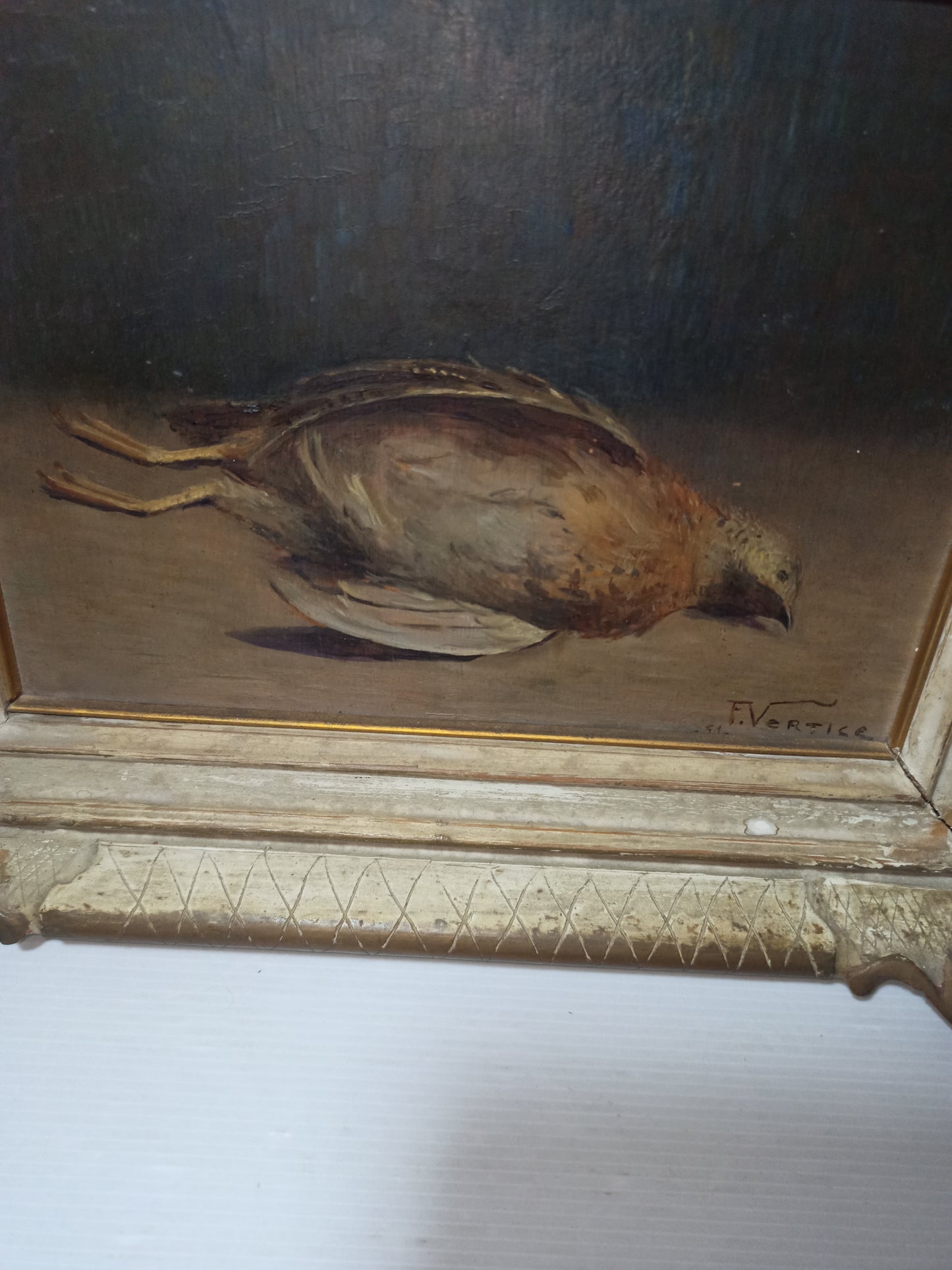 Natura Morta Francesco Vertice
Titolo opera: Quaglia
Misure quadro 36 x 31 cm circa