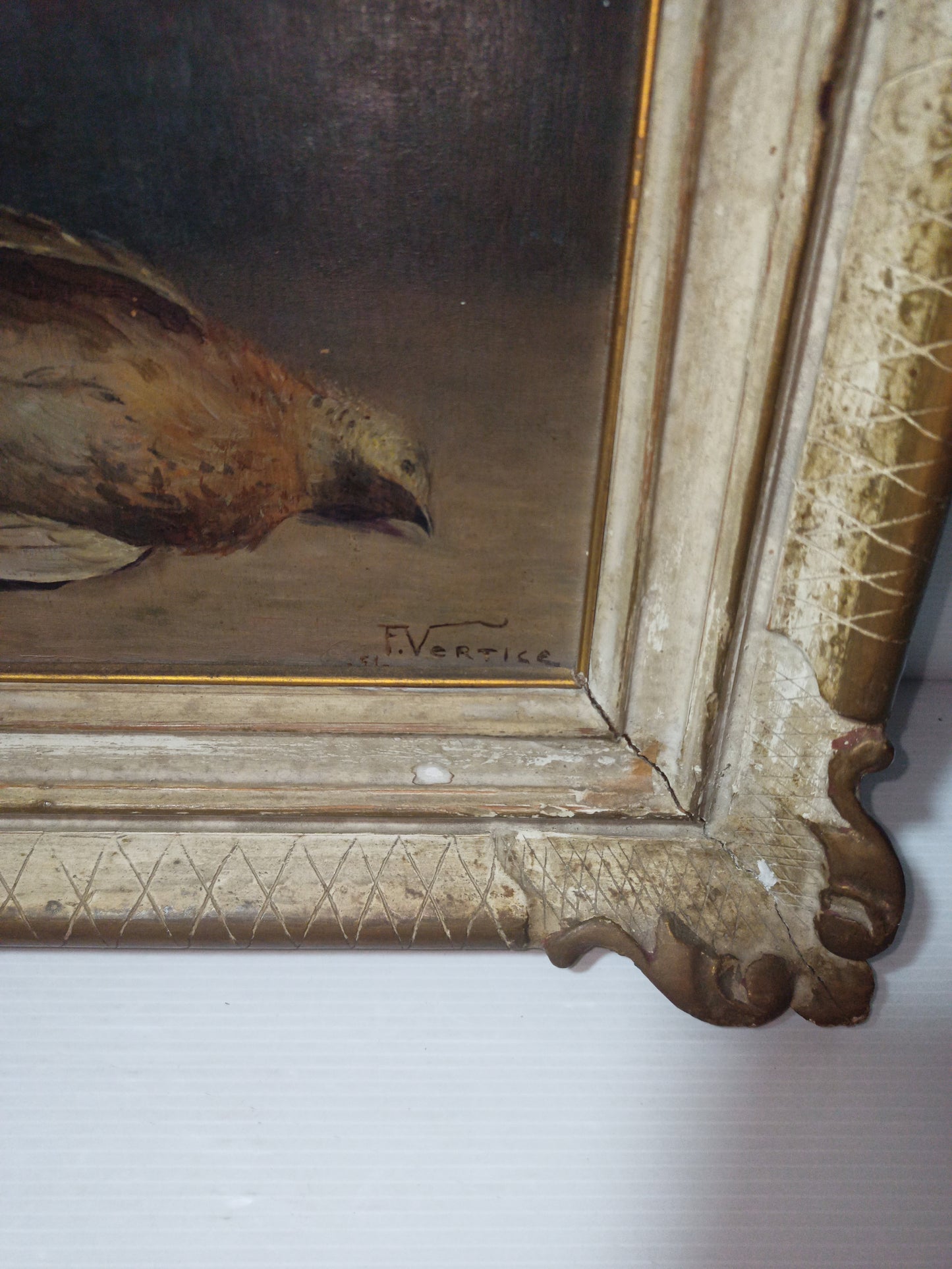 Natura Morta Francesco Vertice
Titolo opera: Quaglia
Misure quadro 36 x 31 cm circa