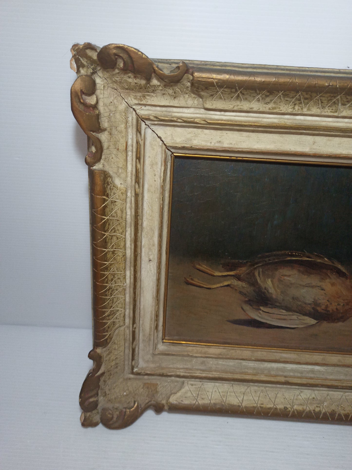 Natura Morta Francesco Vertice
Titolo opera: Quaglia
Misure quadro 36 x 31 cm circa