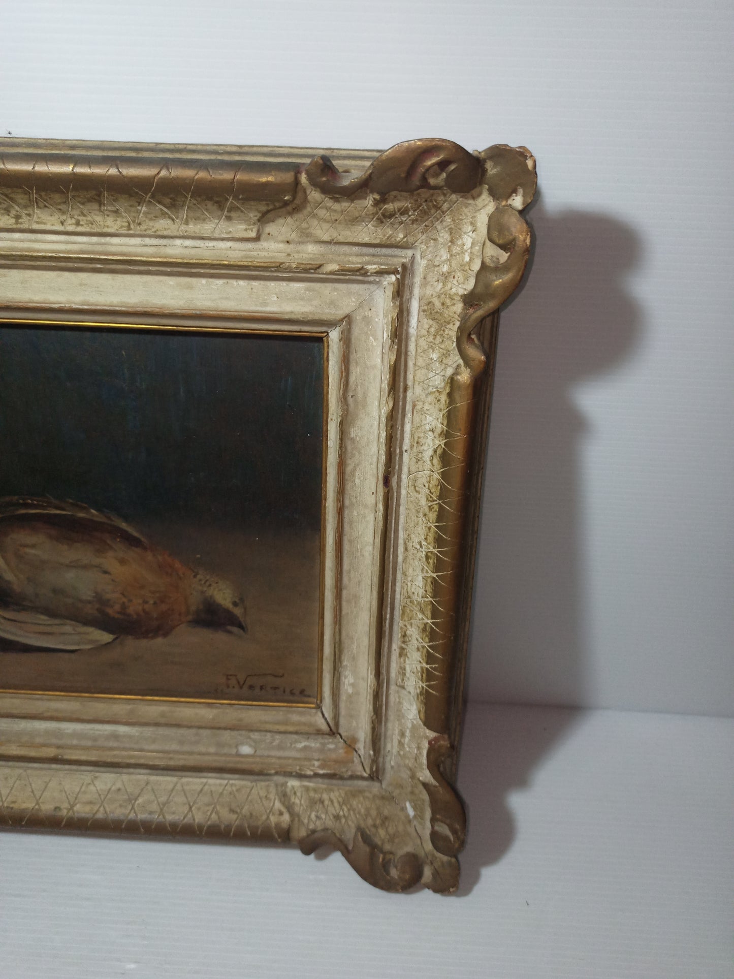 Natura Morta Francesco Vertice
Titolo opera: Quaglia
Misure quadro 36 x 31 cm circa