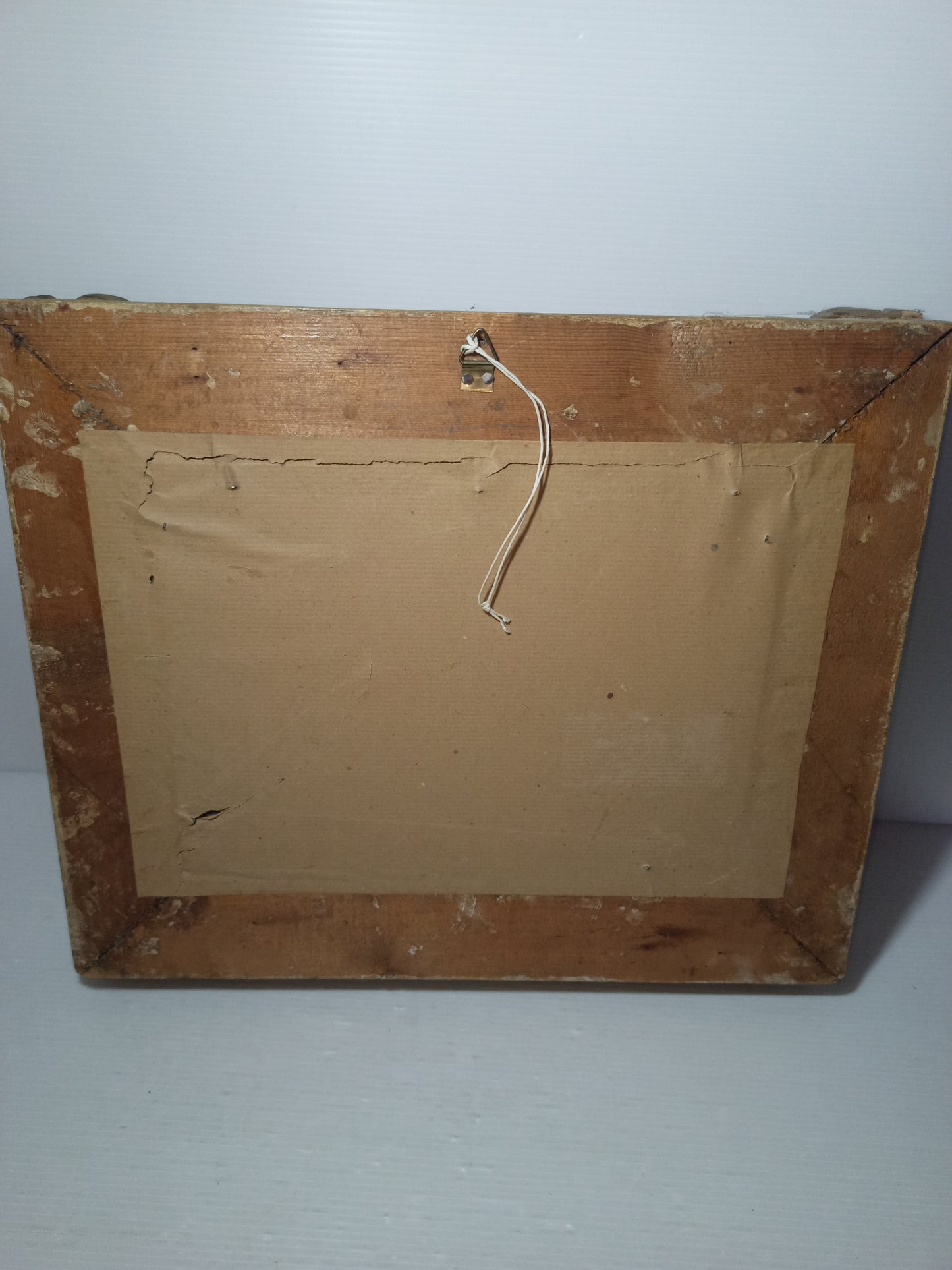 Natura Morta Francesco Vertice
Titolo opera: Quaglia
Misure quadro 36 x 31 cm circa