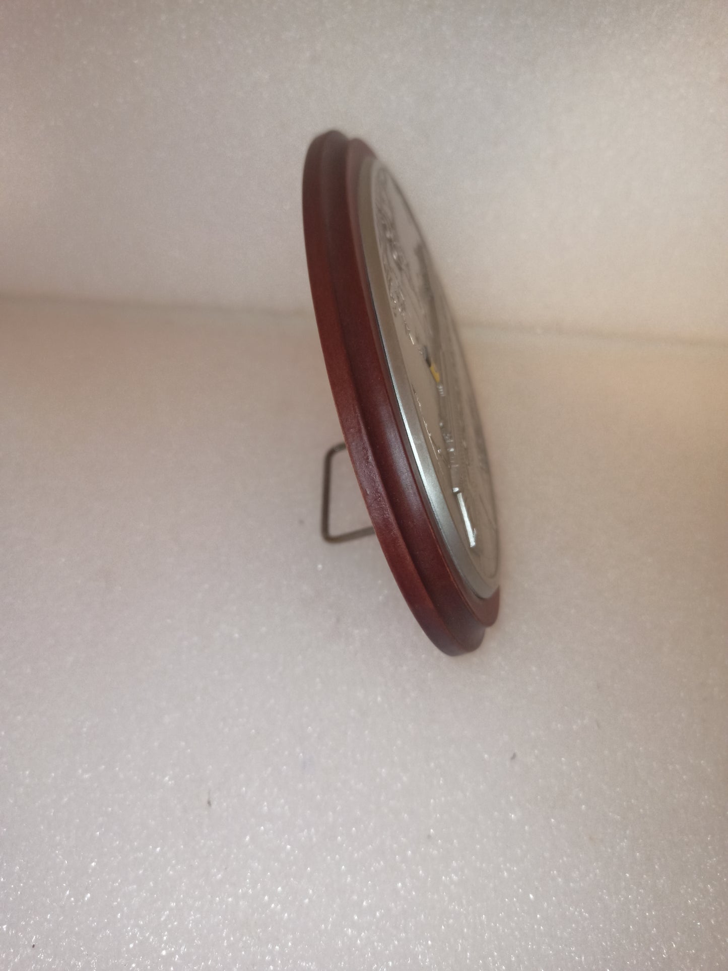 Targa Costa Pacifica Costa Club In Metallo e Legno
Made in Italy