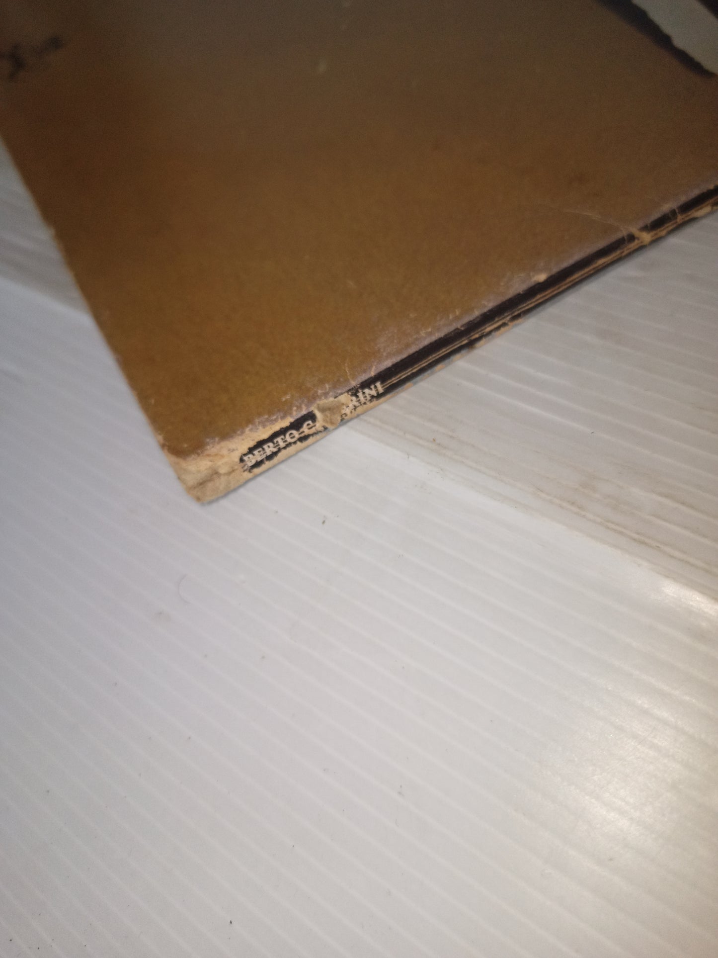 Cenerentola E Il Pane Quotidiano Alberto Camerini LP 33 giri