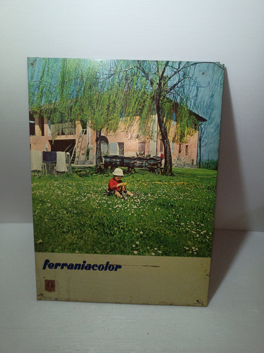 Targa Pubblicitaria Ferraniacolor Originale Anni 50
In cartone rigido
Misure 43 x 32 cm