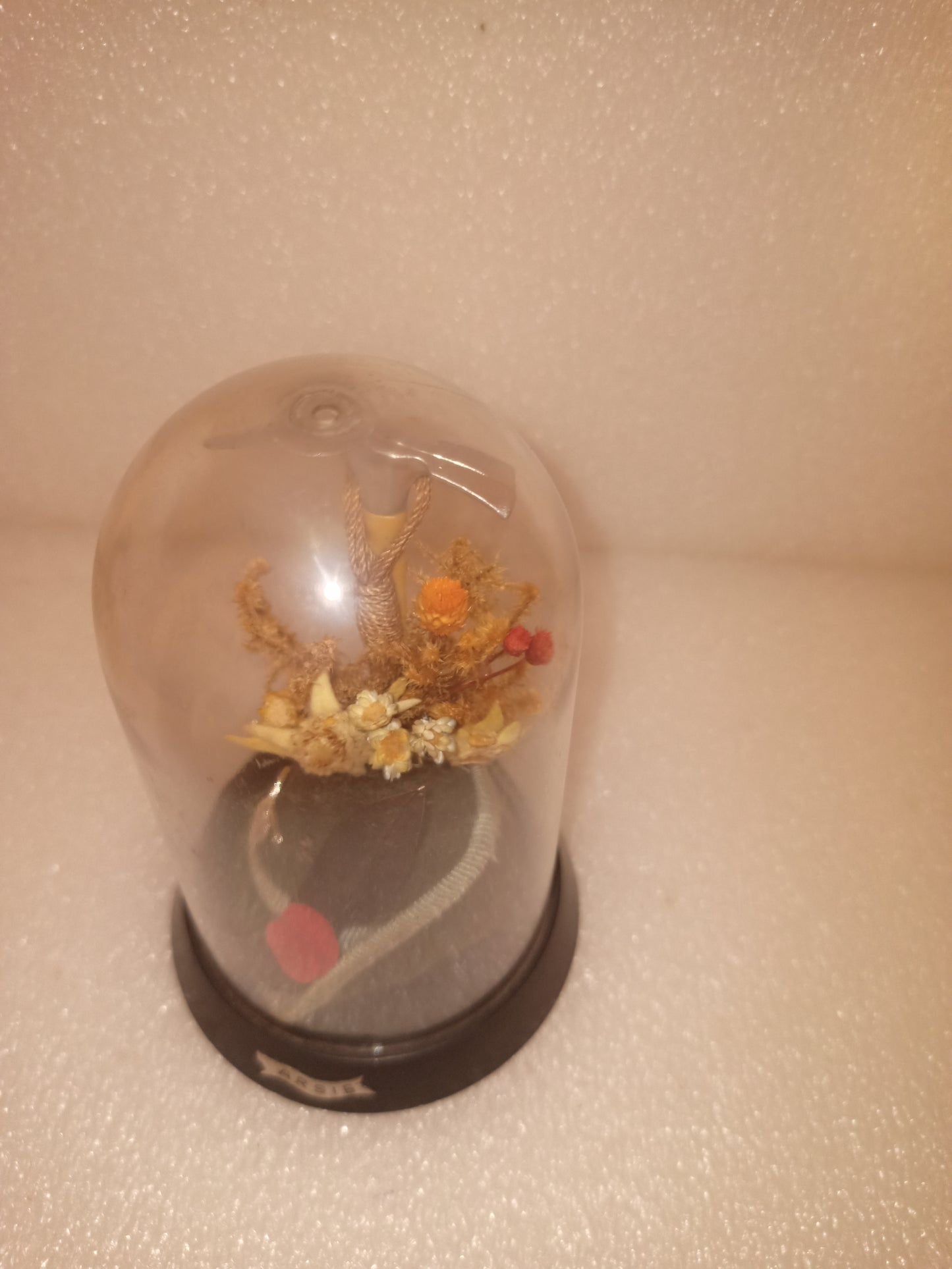 Souvenir Arsiè Vintage