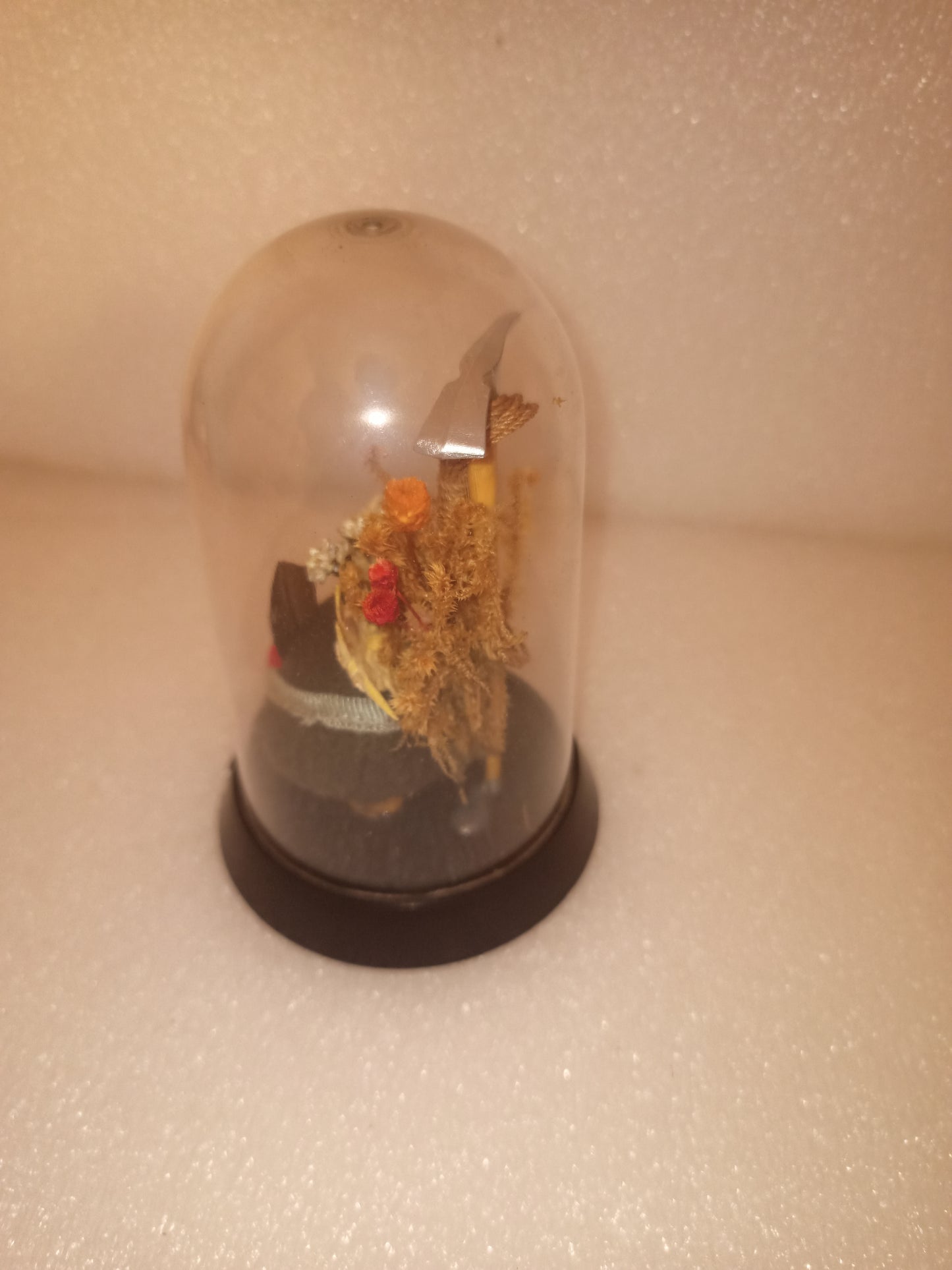 Souvenir Arsiè Vintage