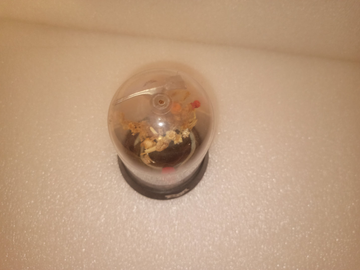 Souvenir Arsiè Vintage