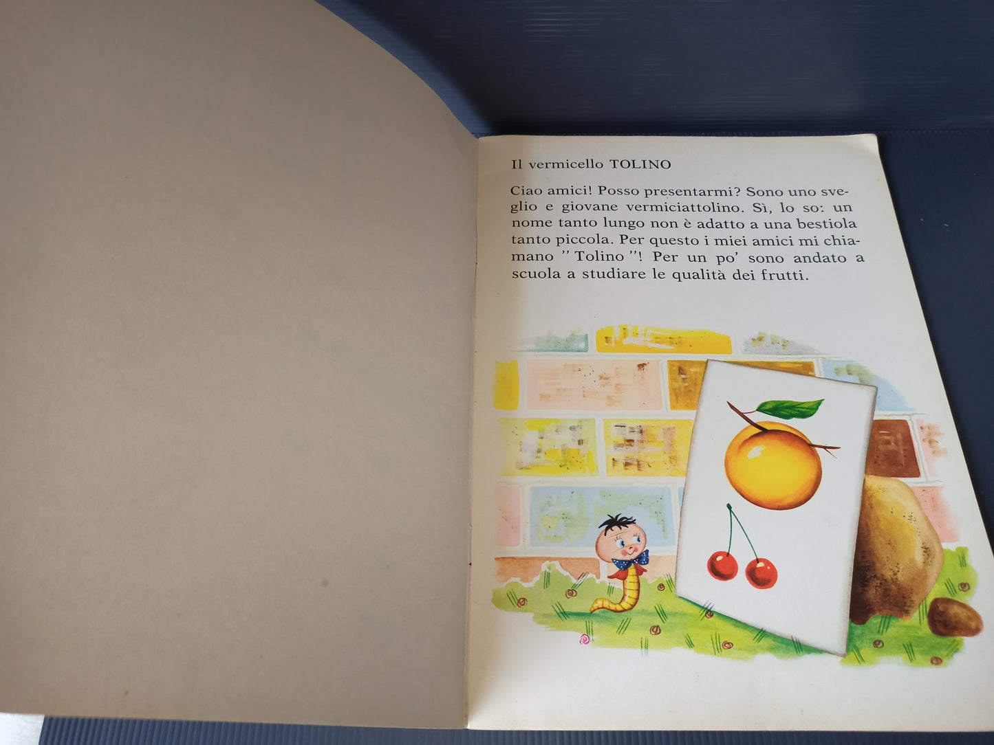 Libro Il Vermicello Tolino, Malipiero originale anni 70