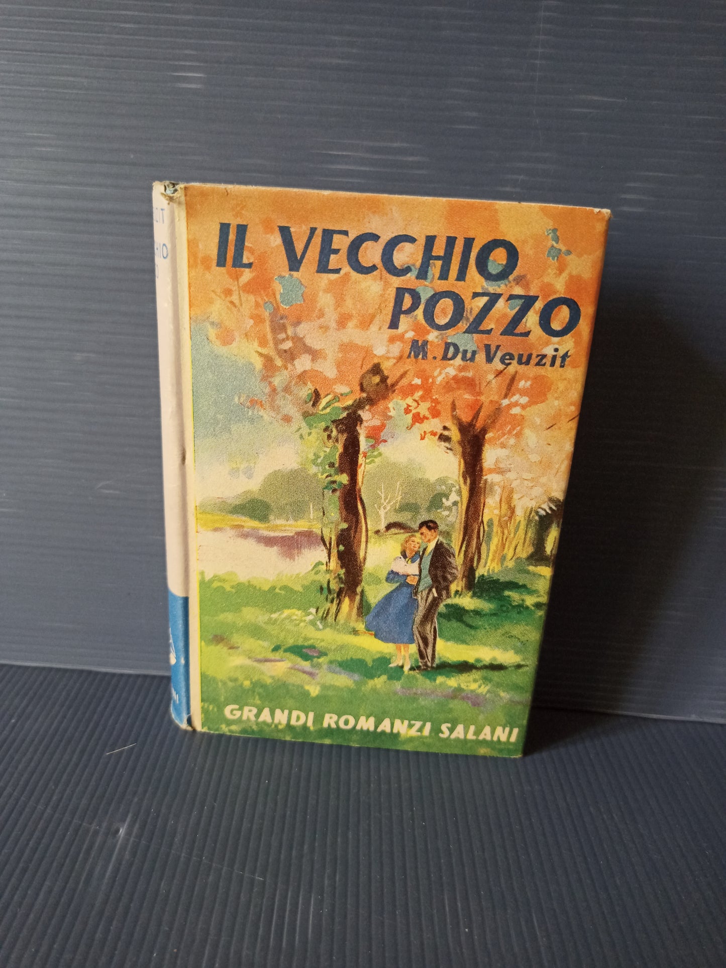 Book Il Vecchio Pozzo, M. Du Veuzit original 1940s-50s