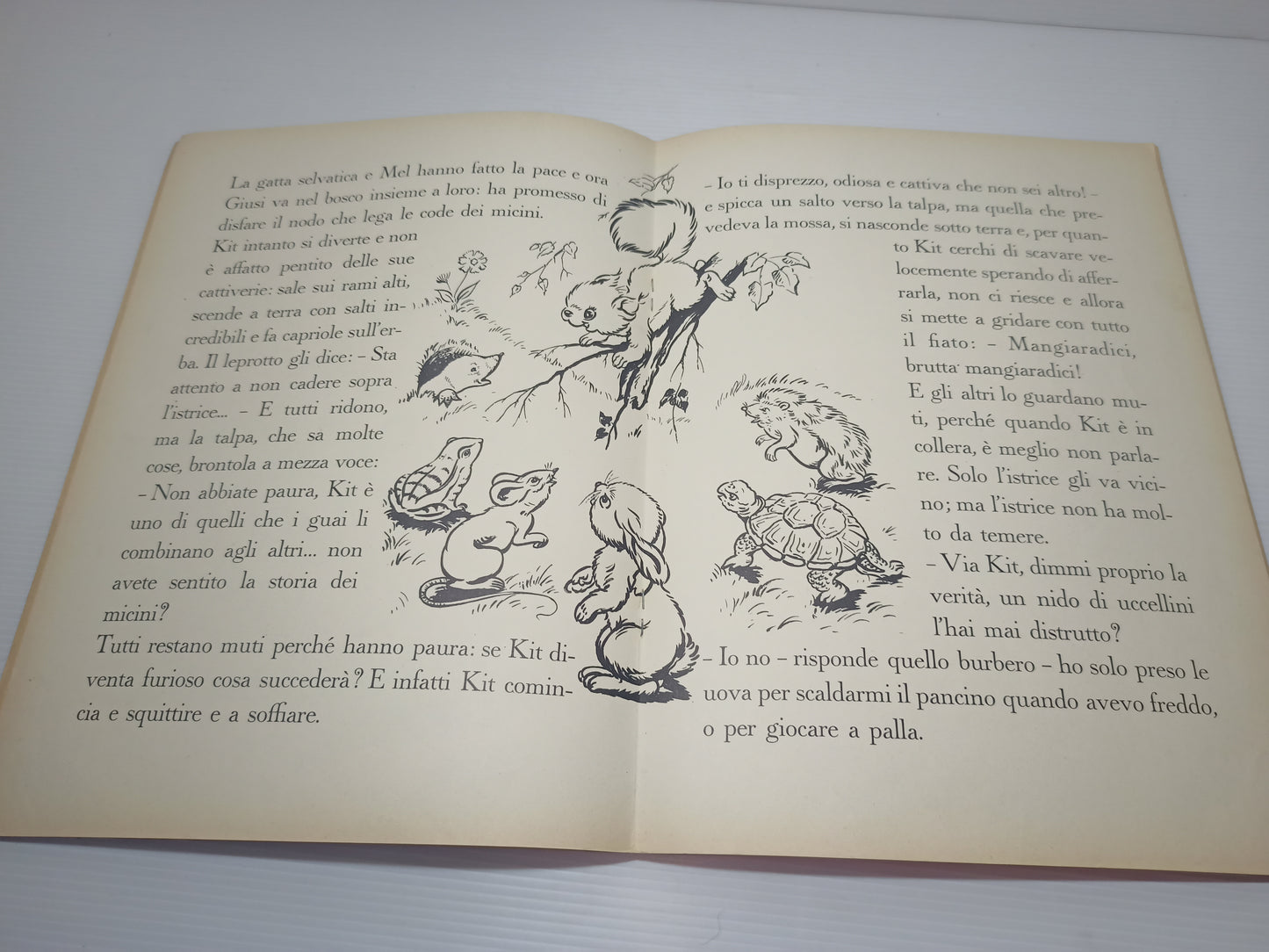 Libro Tutta coda e niente cervello, Editrice Piccoli anni 60