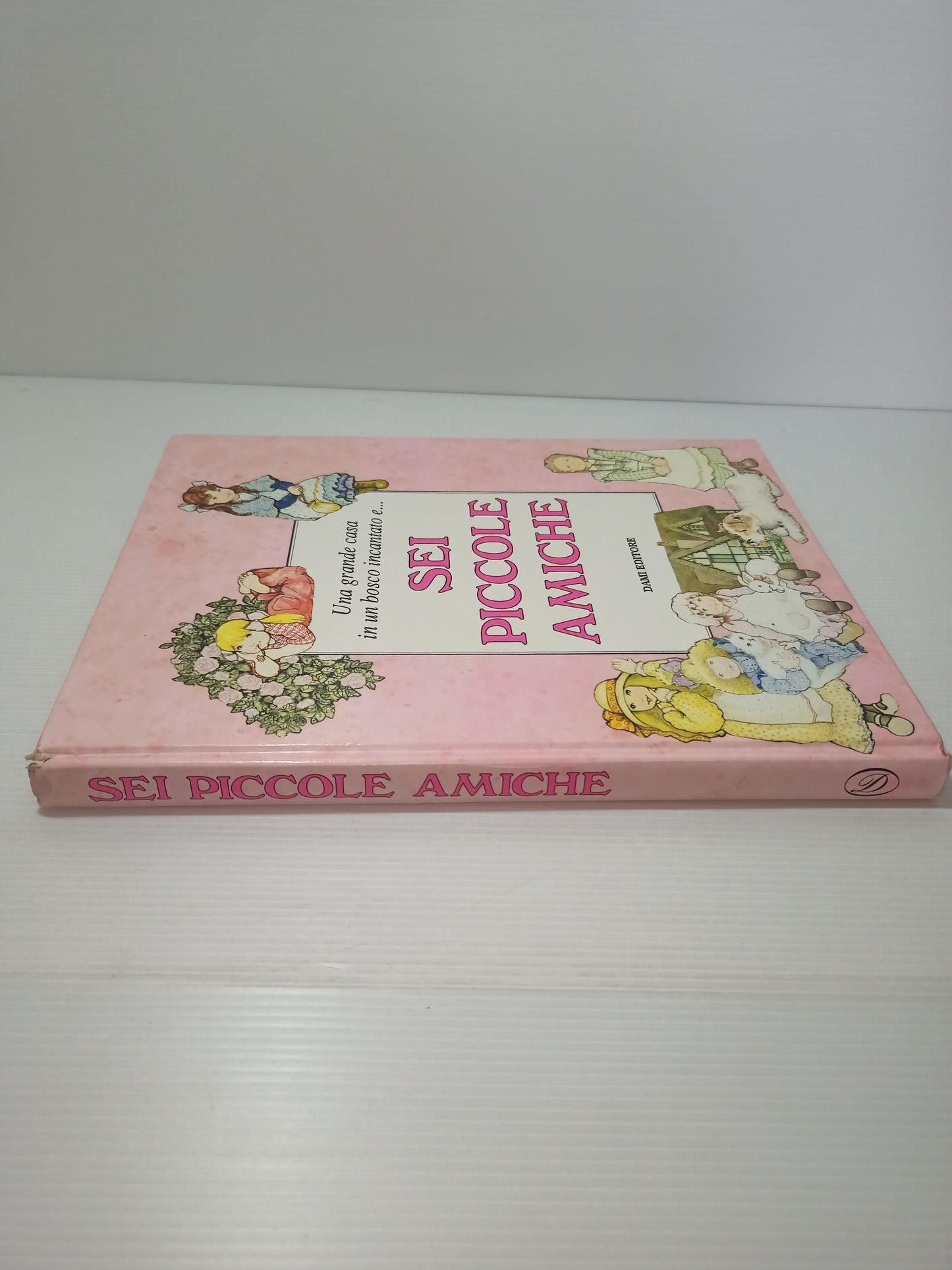 Libro Una grande casa in un bosco incantato e...sei Piccole Amiche, Rose Selarose anni 90