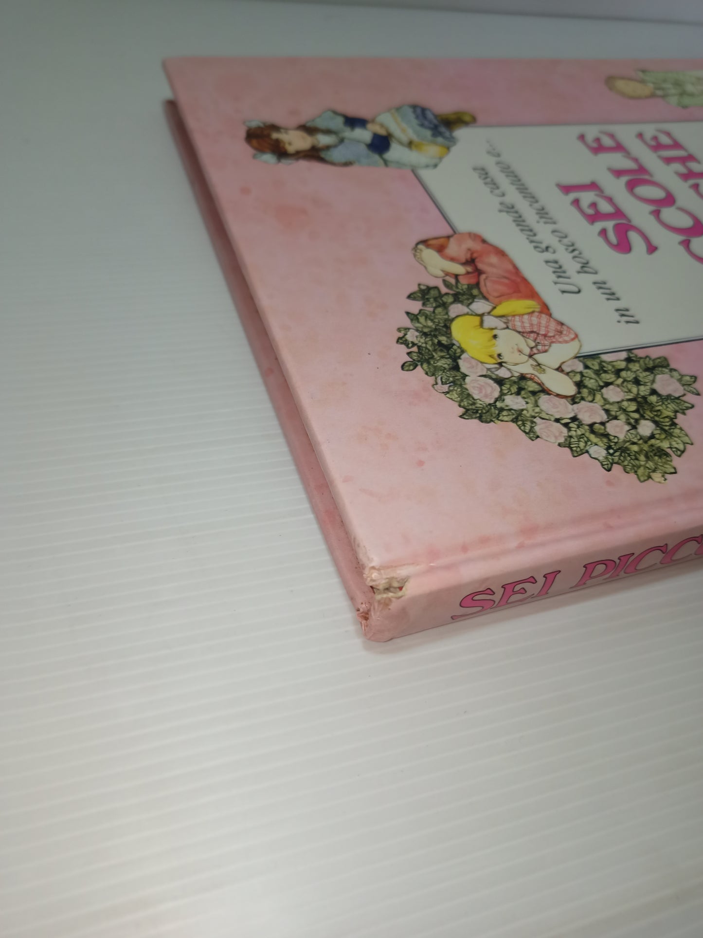 Libro Una grande casa in un bosco incantato e...sei Piccole Amiche, Rose Selarose anni 90