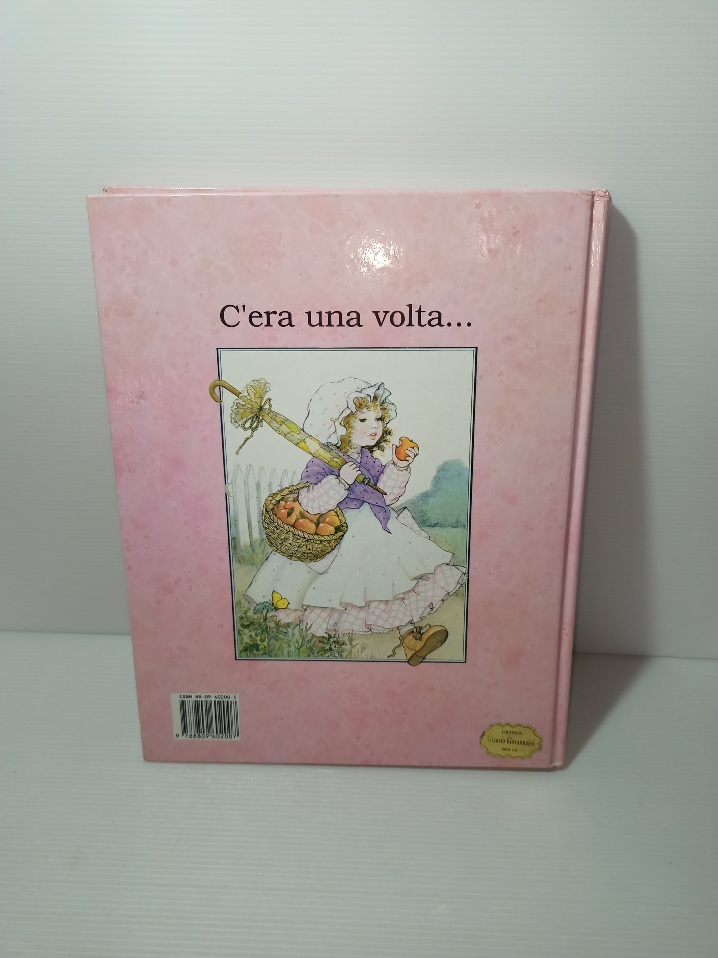 Libro Una grande casa in un bosco incantato e...sei Piccole Amiche, Rose Selarose anni 90