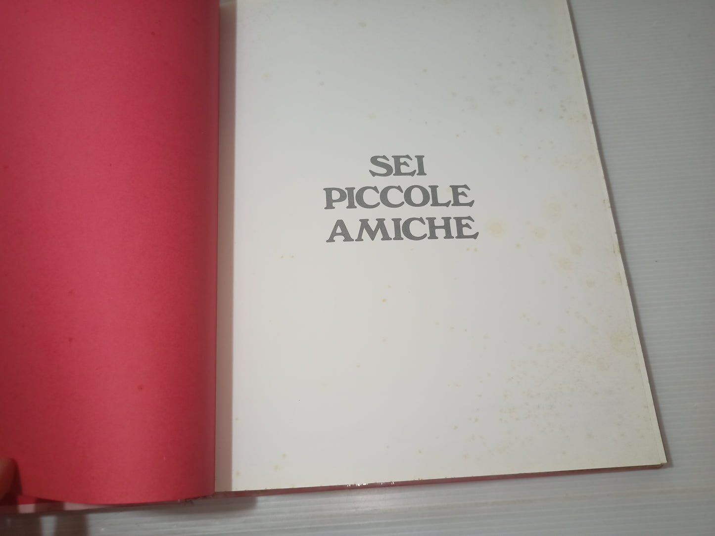 Libro Una grande casa in un bosco incantato e...sei Piccole Amiche, Rose Selarose anni 90