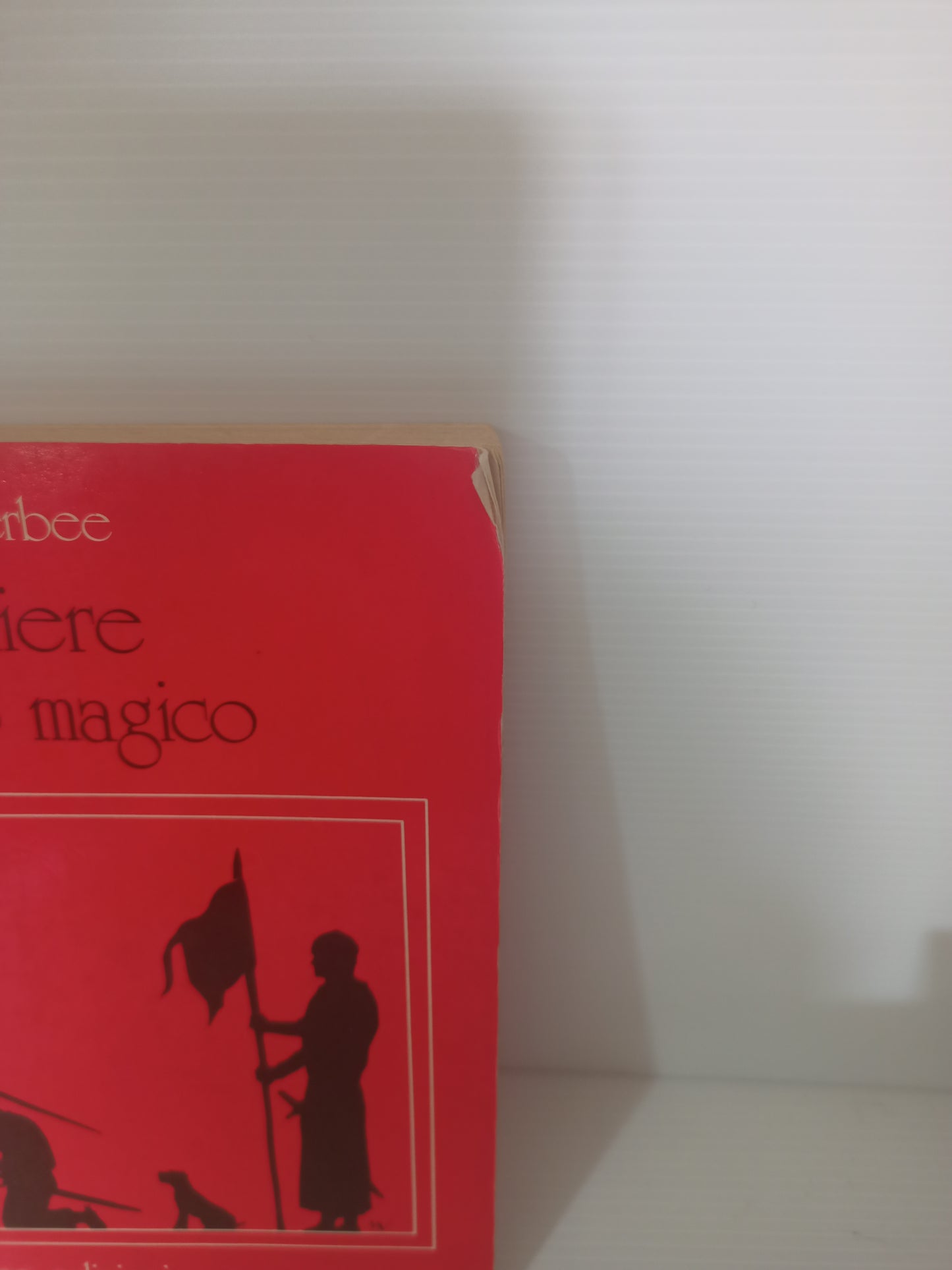 Libro Il Cavaliere Dall' Anello Magico, H.Wetherbee 1983