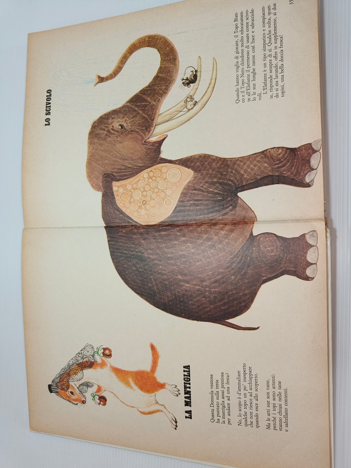 Libro Il Teatrino Degli Animali, Anne-Marie Dalmais 1971 LEGGI DESCRIZIONE