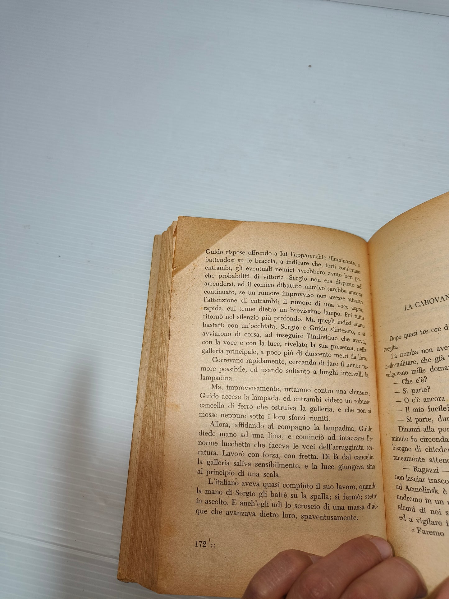 Libro I Ribelli Della Steppa Nevosa, Cassone 1943 LEGGI DESCRIZIONE