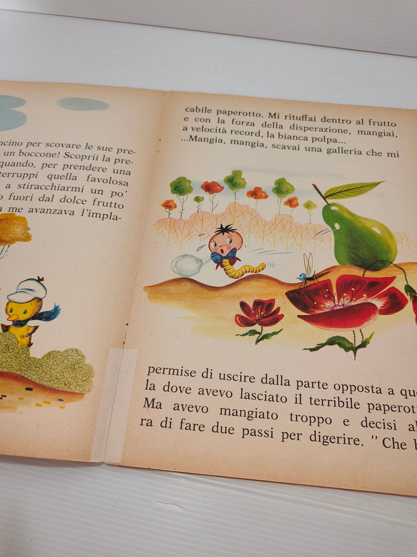 Libro Il Vermicello Tolino, Malipiero anni 70 LEGGI