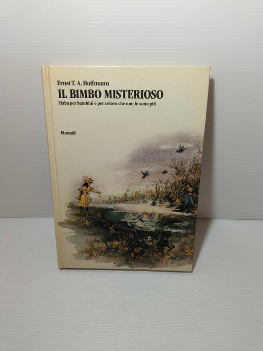 Libro Il Bimbo Misterioso, Hoffman