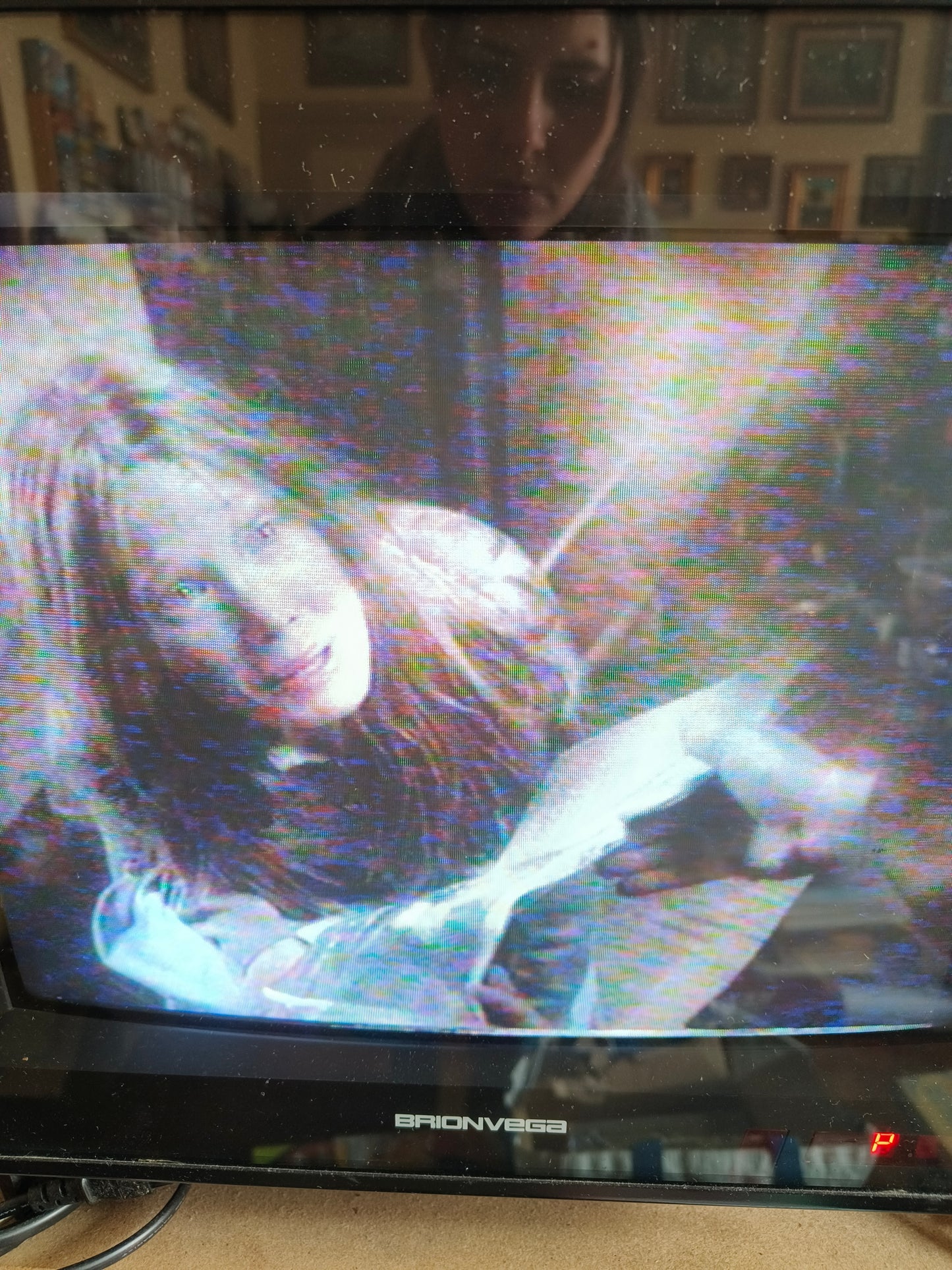 VHS Carrie Lo Sguardo Di Satana, 1989