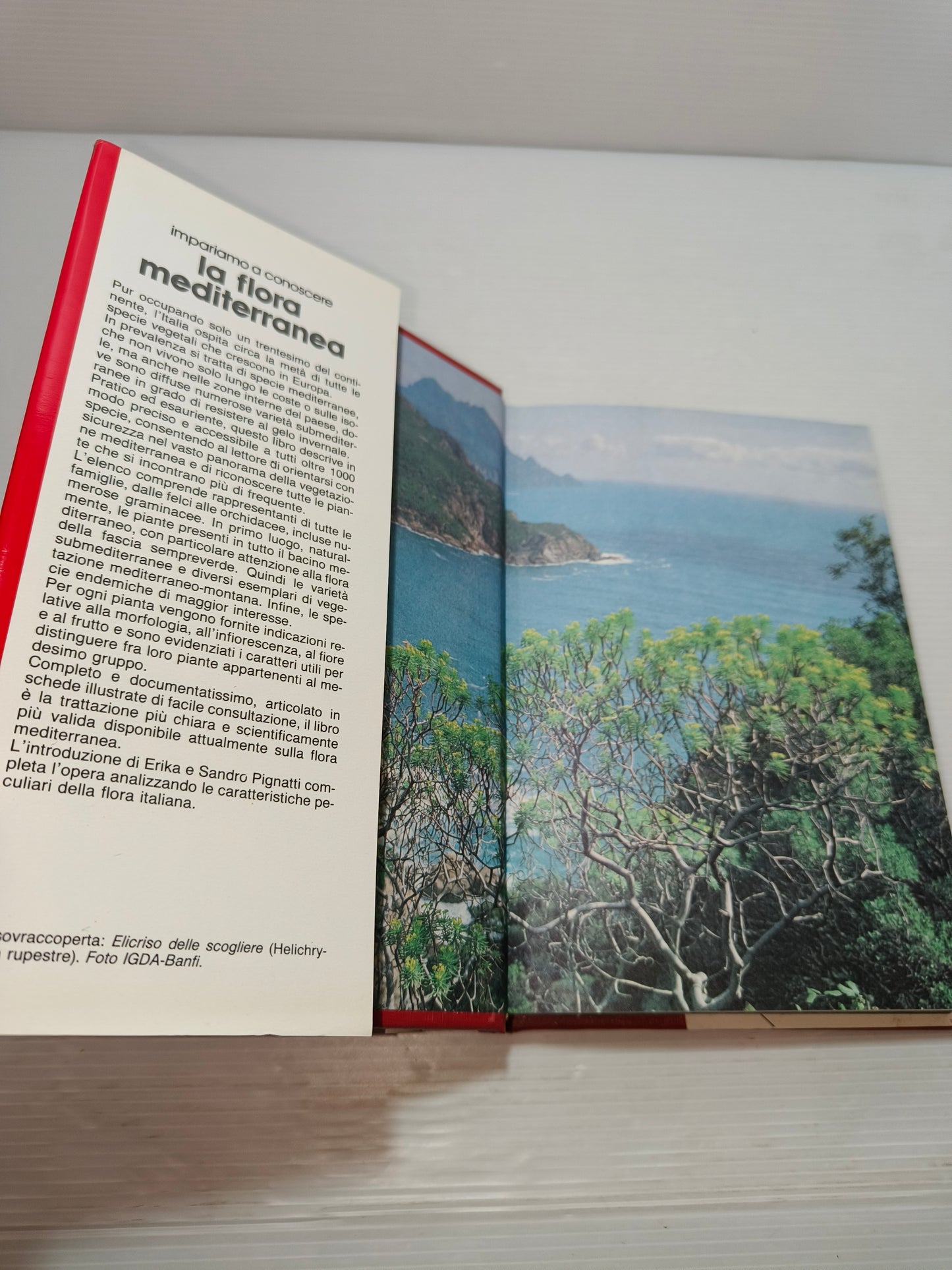 Libro La Flora Mediterranea DeAgostini anni 90
